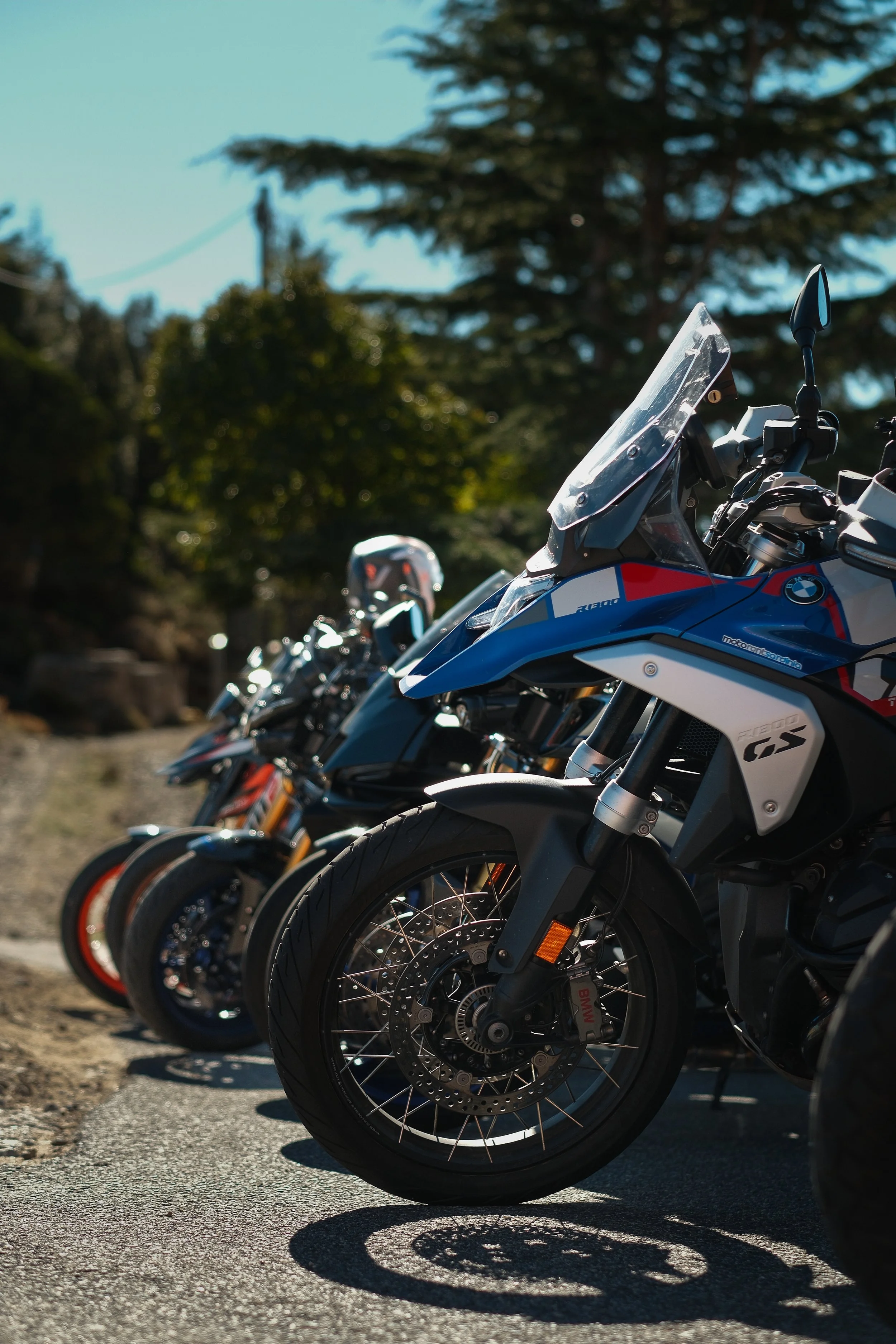 massimo forelli-15.jpg