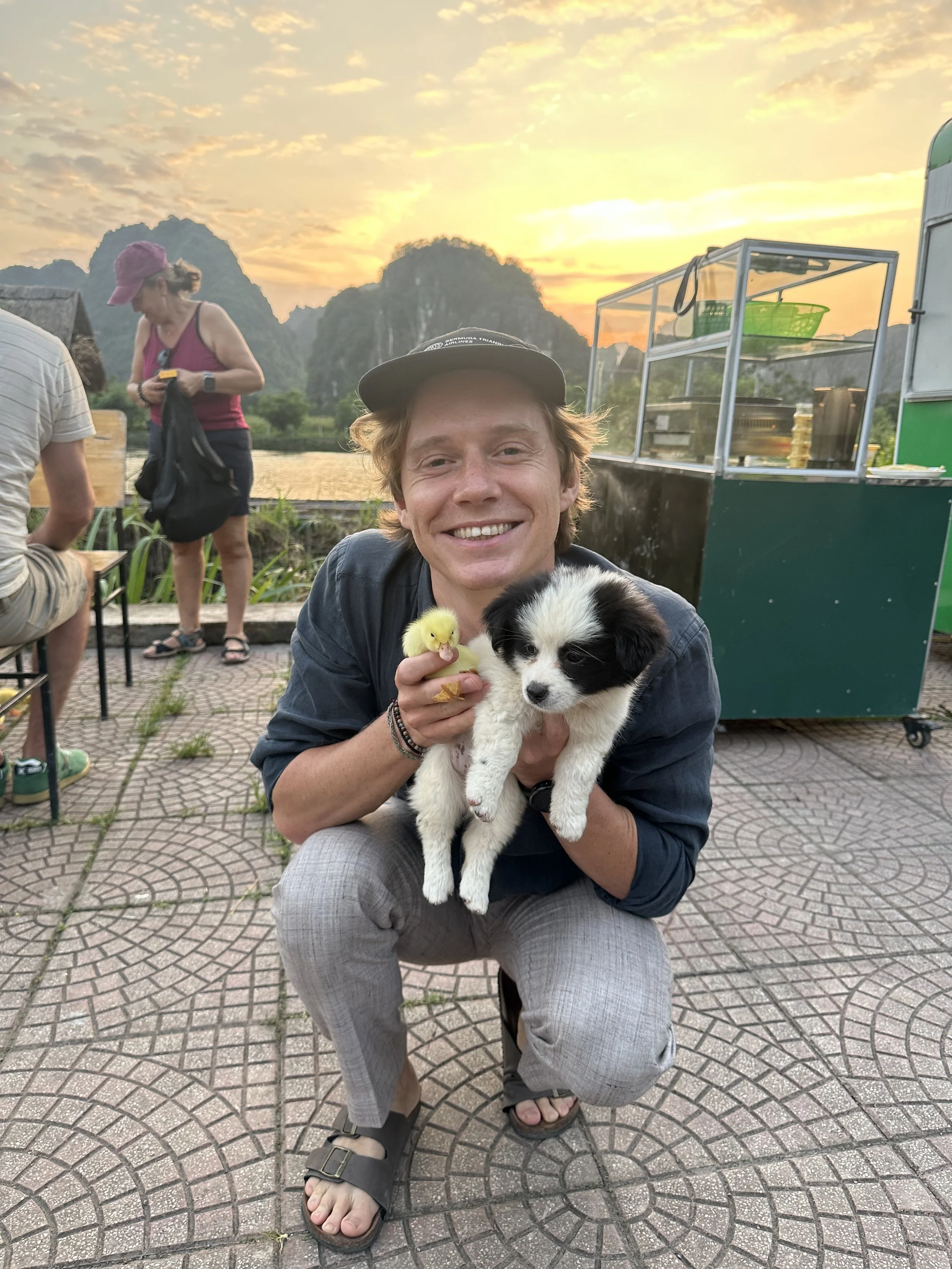 Puppies, ducklings and a sunset. 