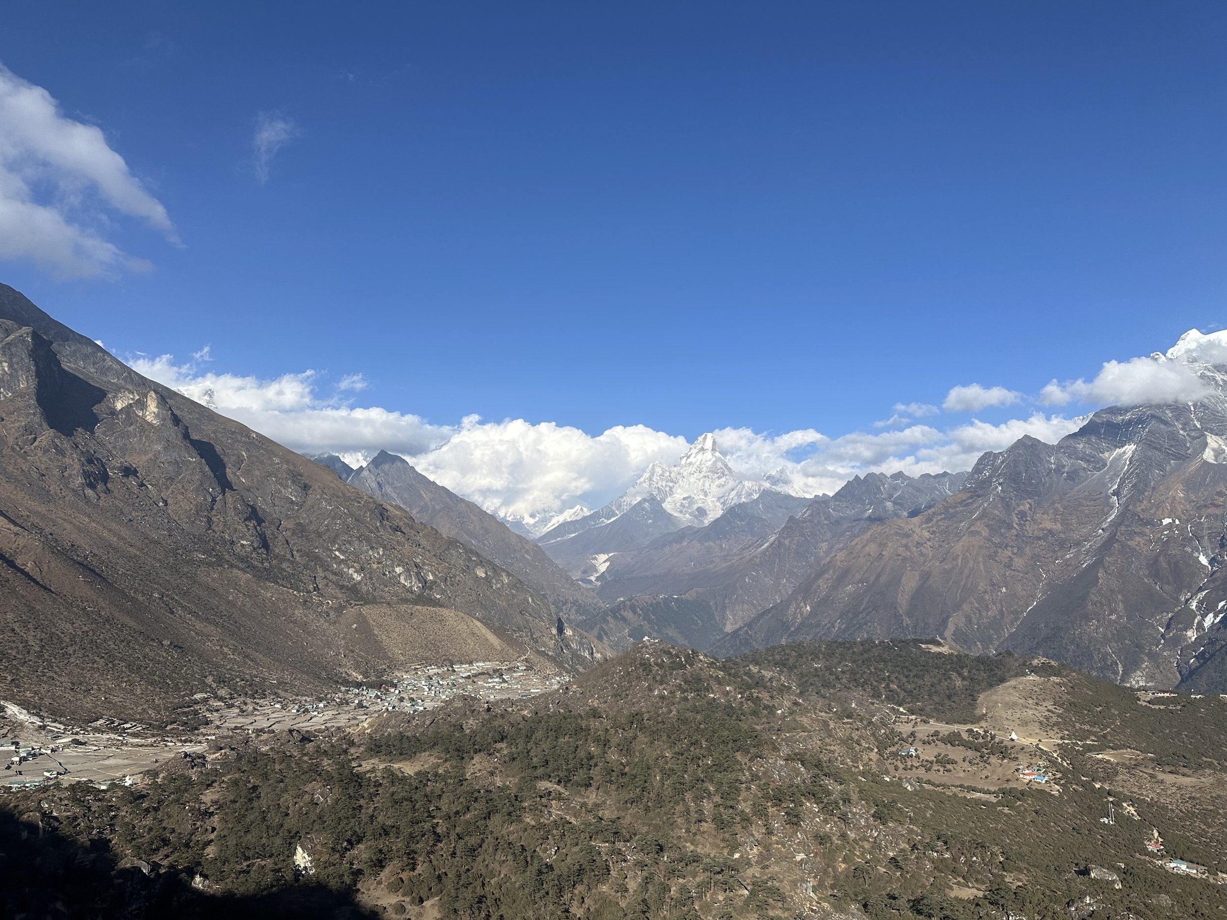 IMG_4317.jpeg