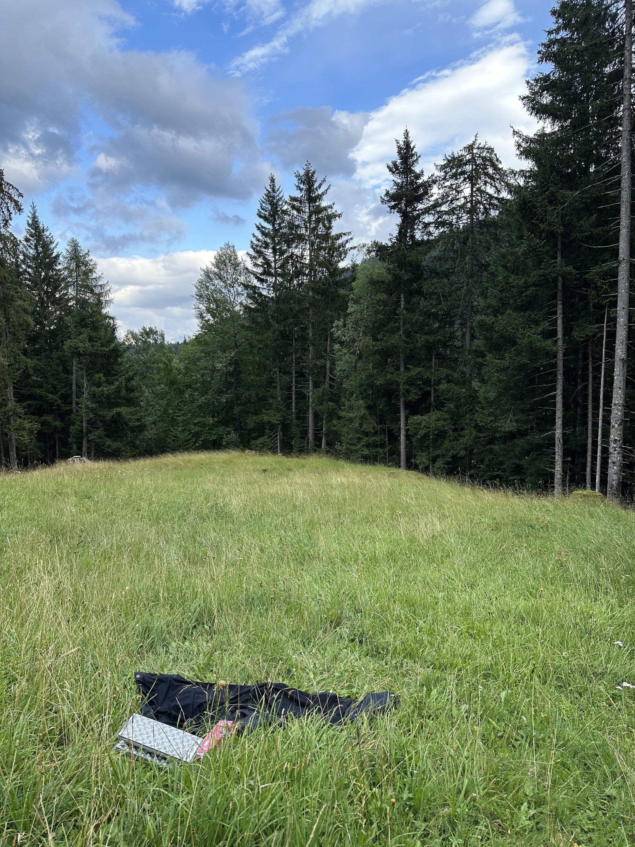 Tea break at a peaceful meadow that gave us 3+ ticks.