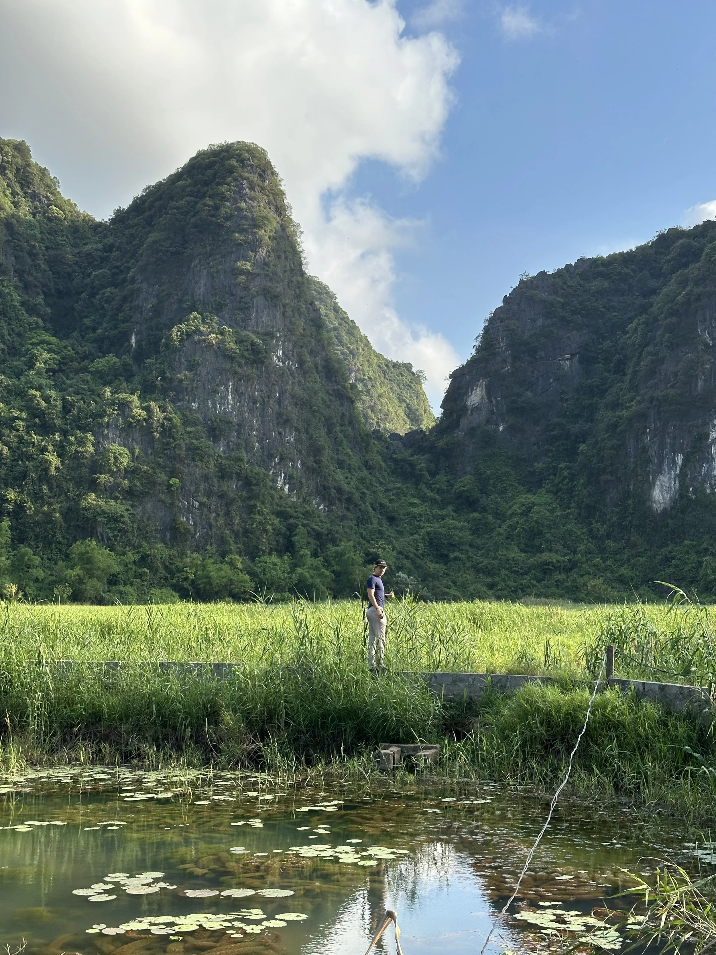 Beautiful views in Ninh Binh.