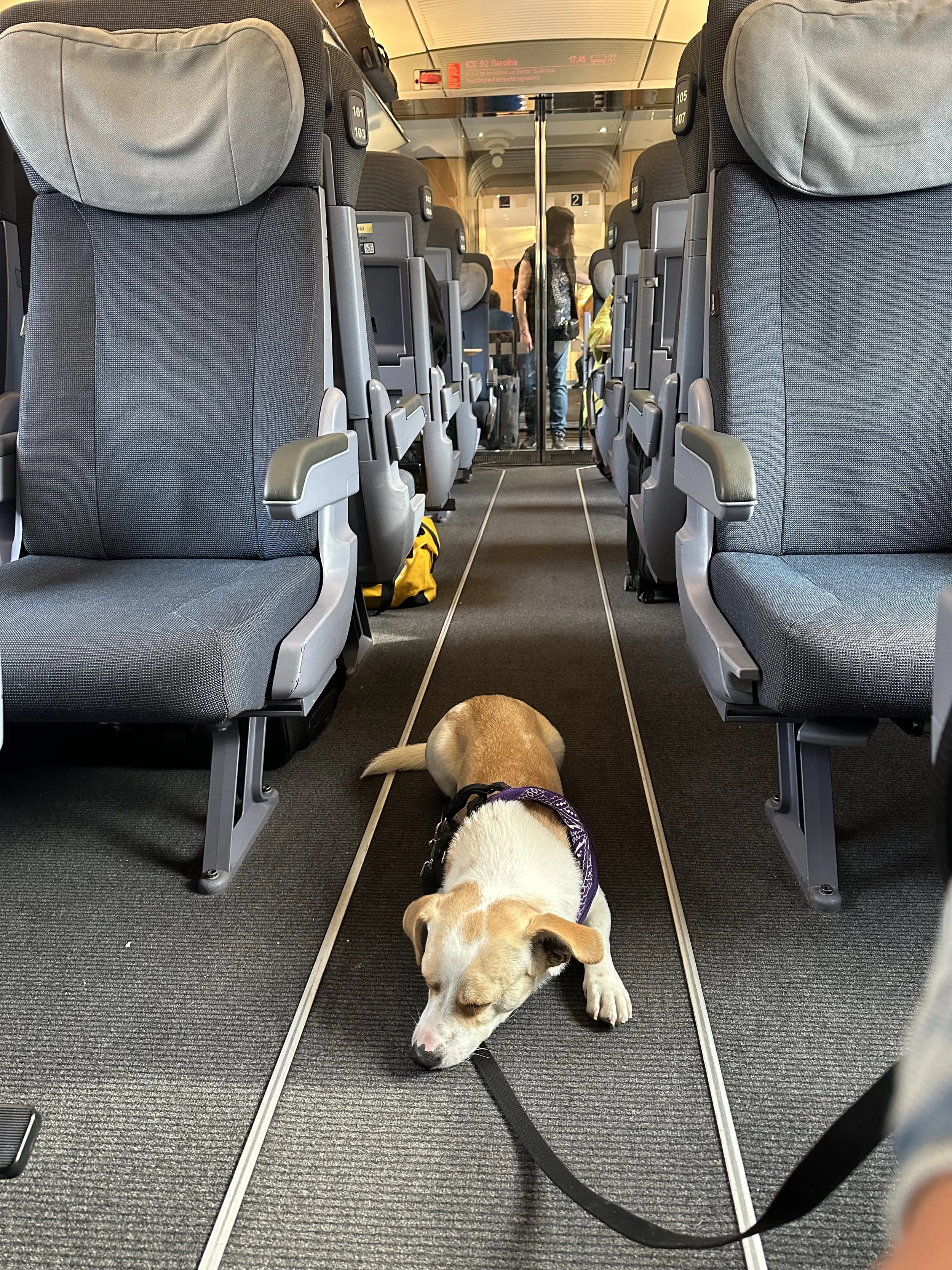 Thank God for this empty train.