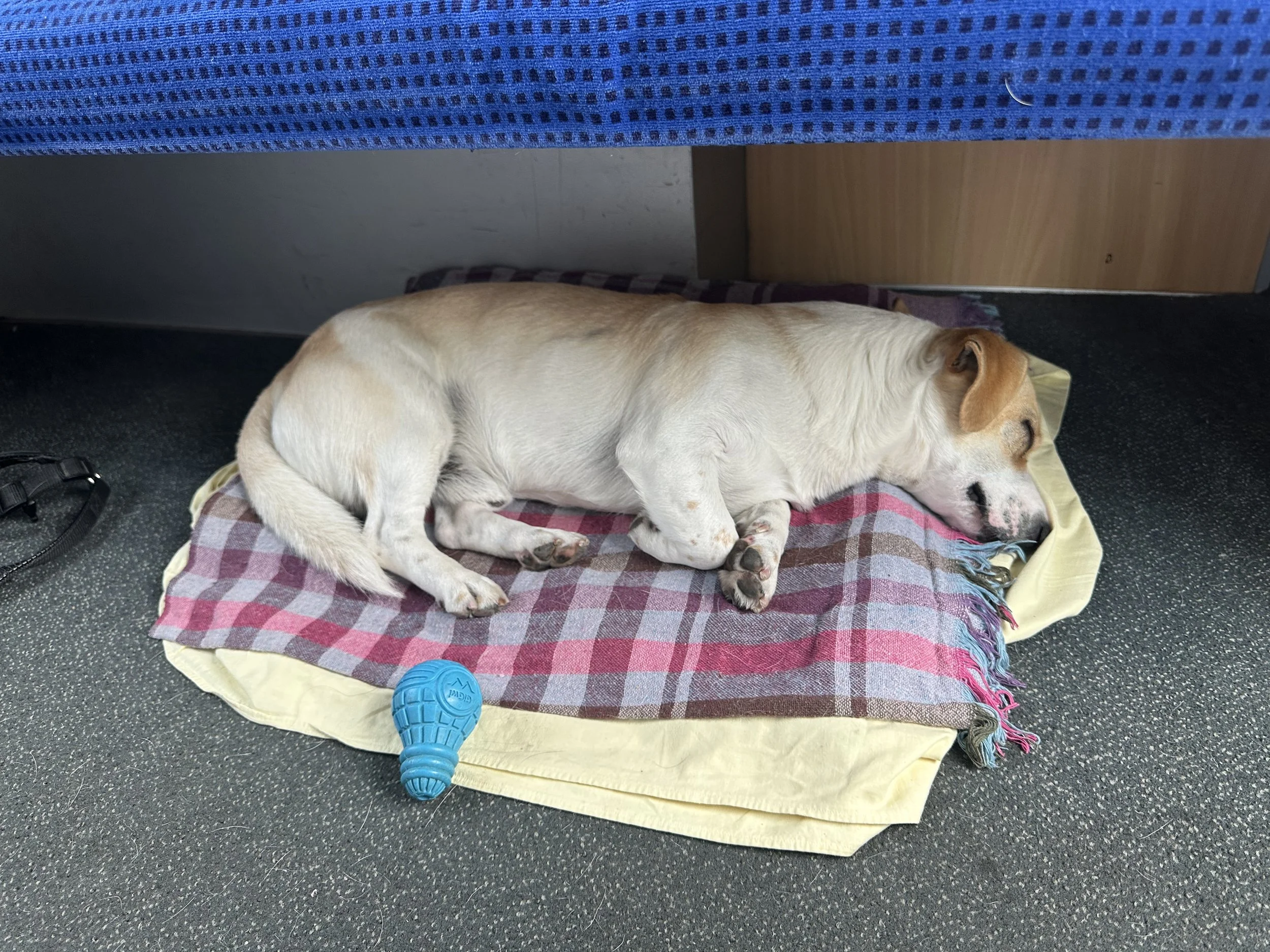 Last night train! Hamburg to Stockholm.