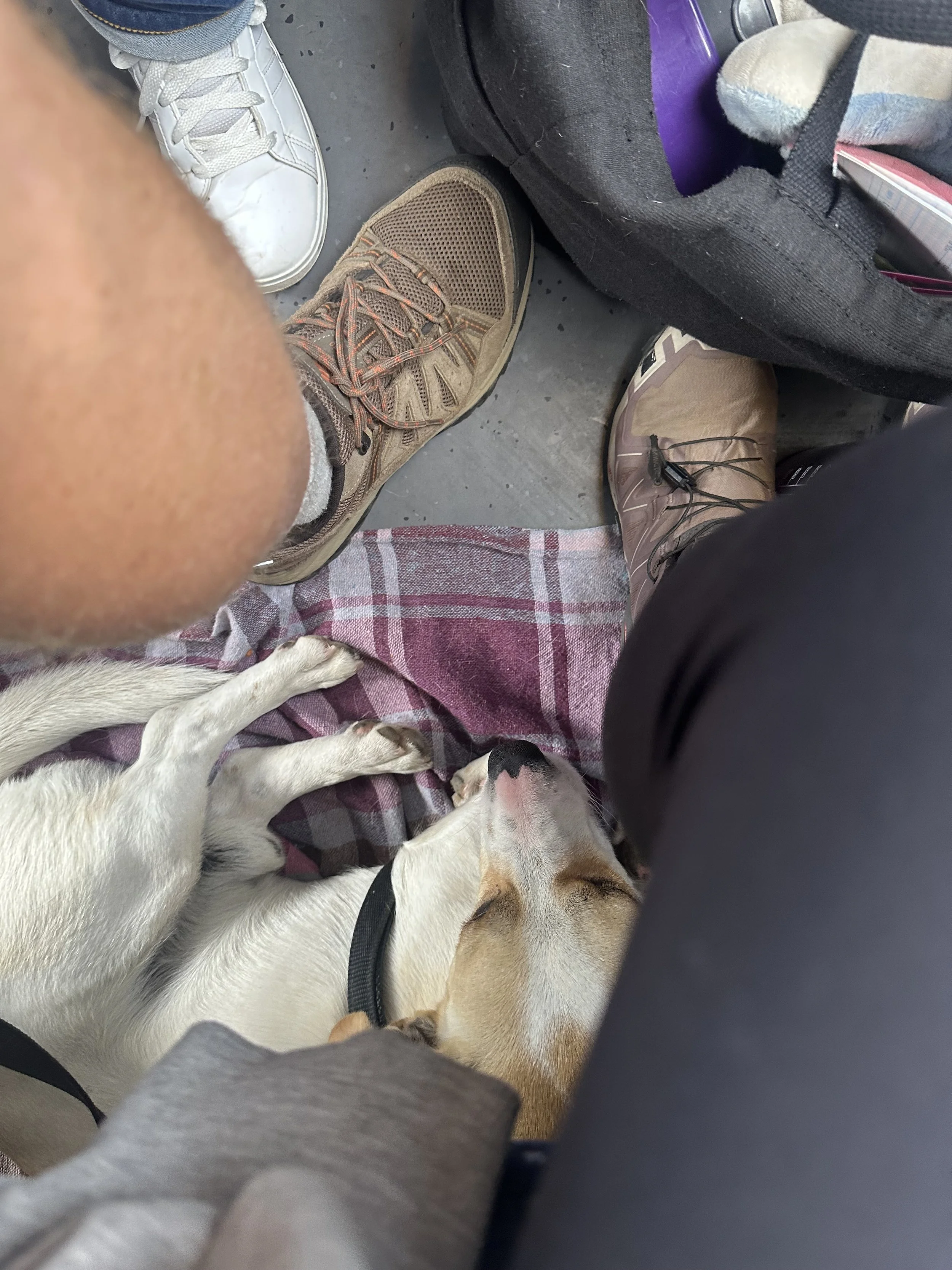 Sometimes we had to squeeze in tight.