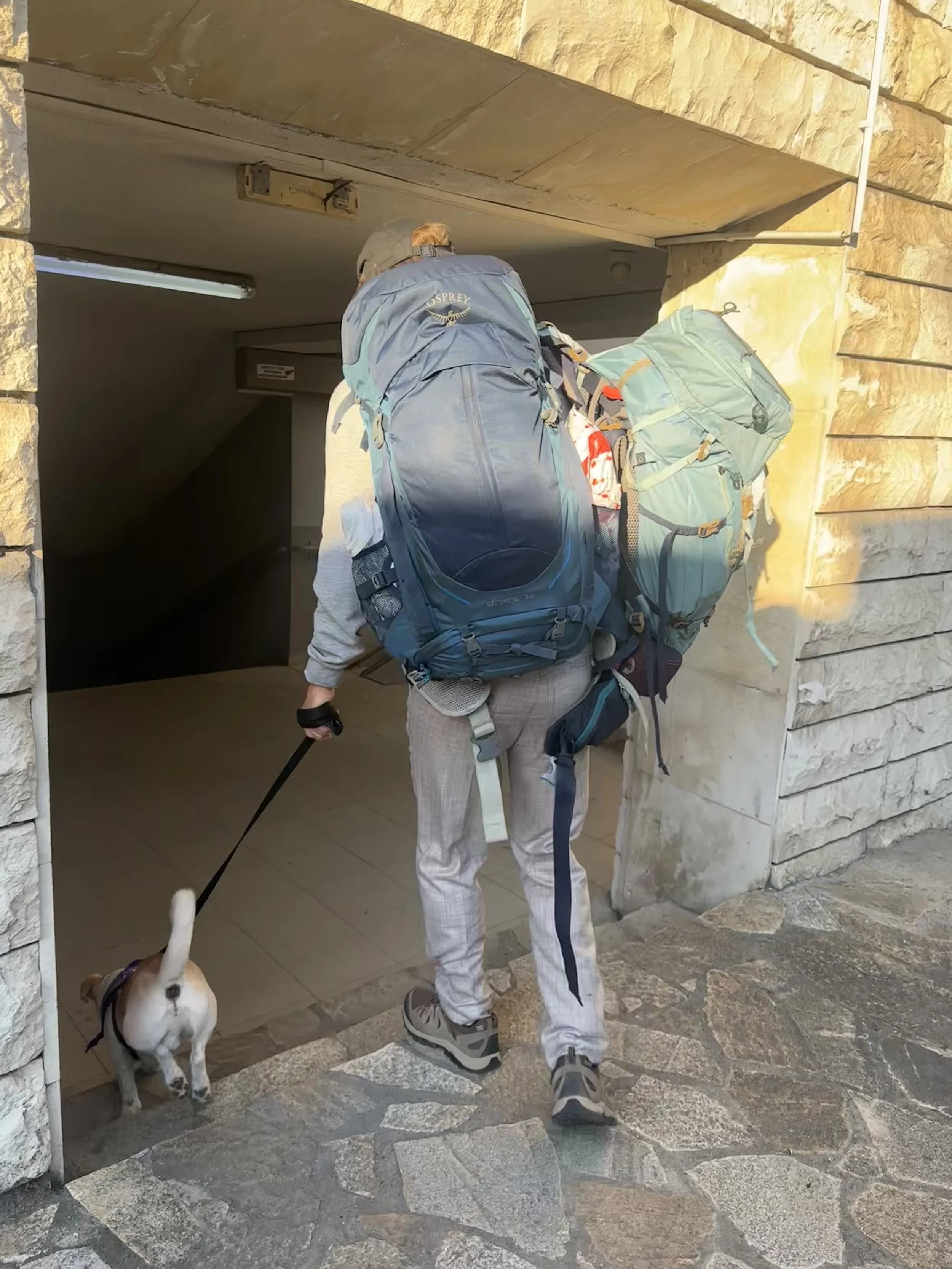 Aleksei likes to carry all the load. I learned to comply.