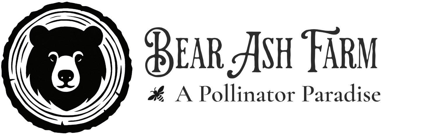 Bear Ash Farm. A pollinators paradise.