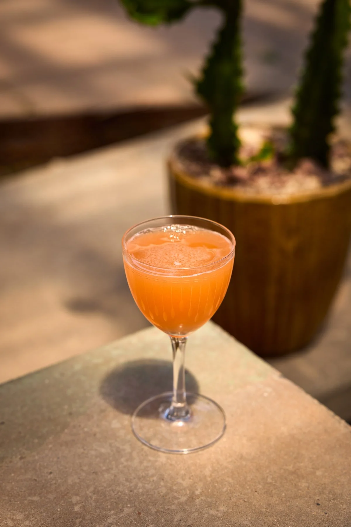 mixteca__0028.jpg