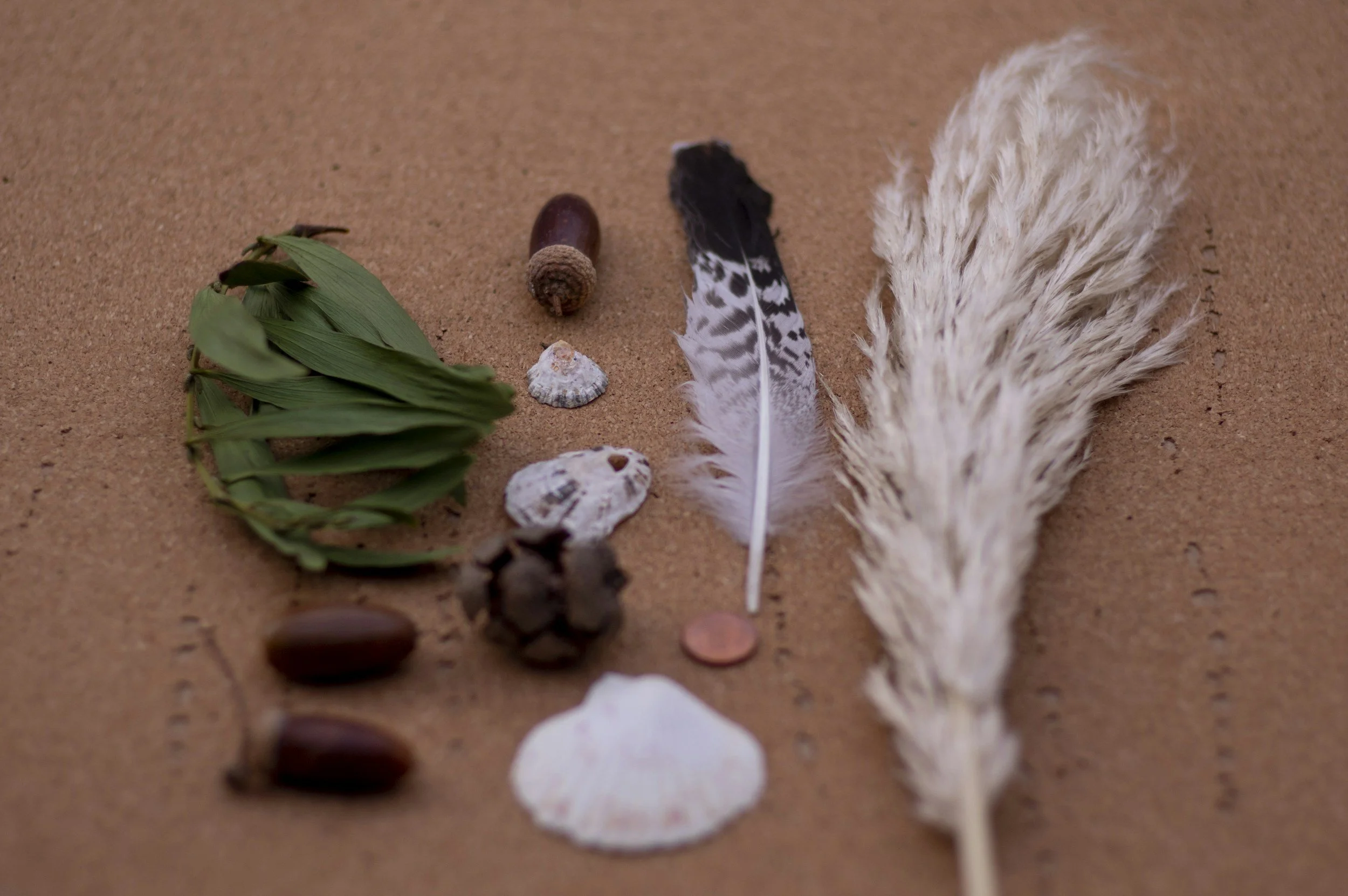 Feather Wand Making and Cleansing with Smoke