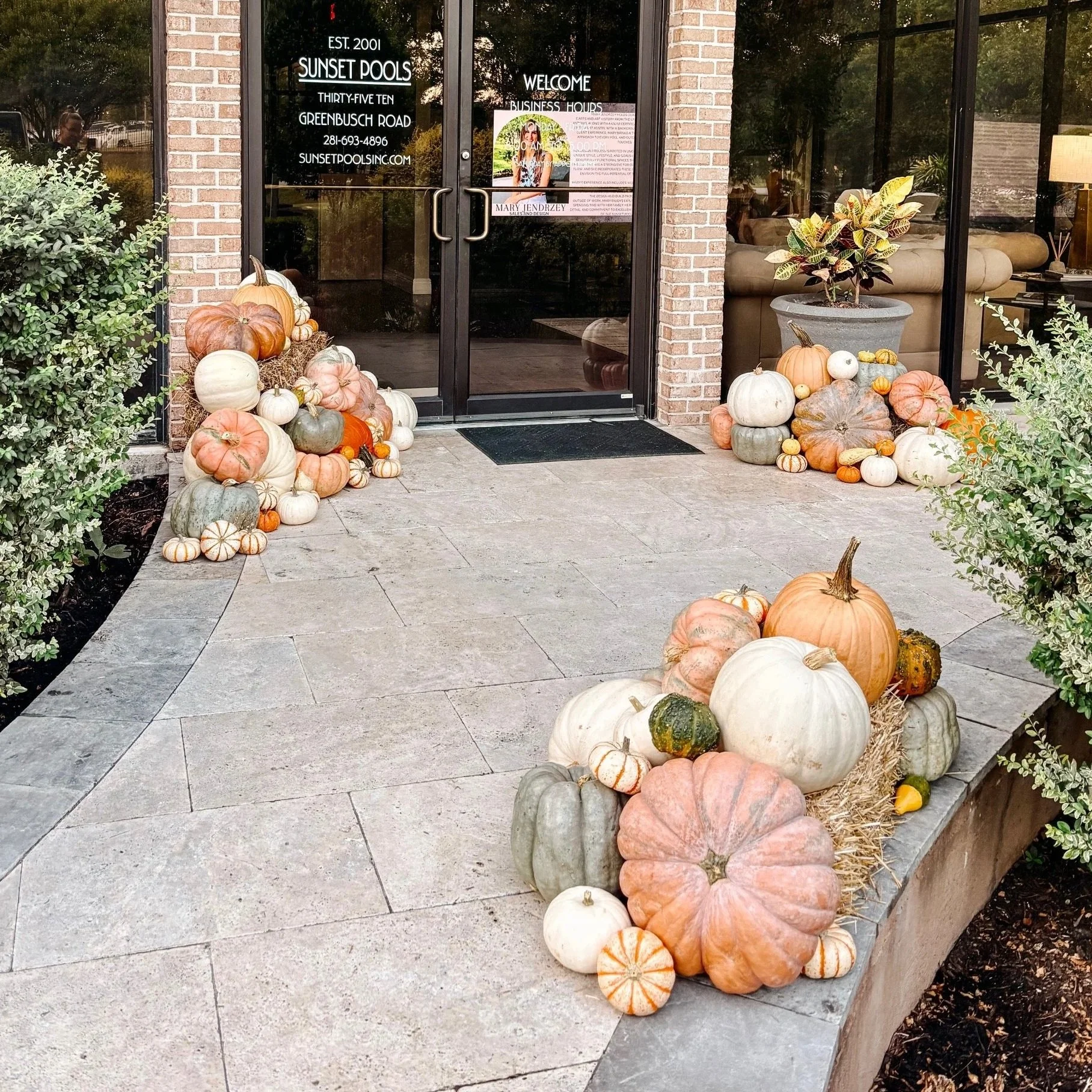 Pumpkins and gourds arranged outside the entrance of Sunset Pools, a business located on Greenbusch Road, with a brick building and glass doors in the background.