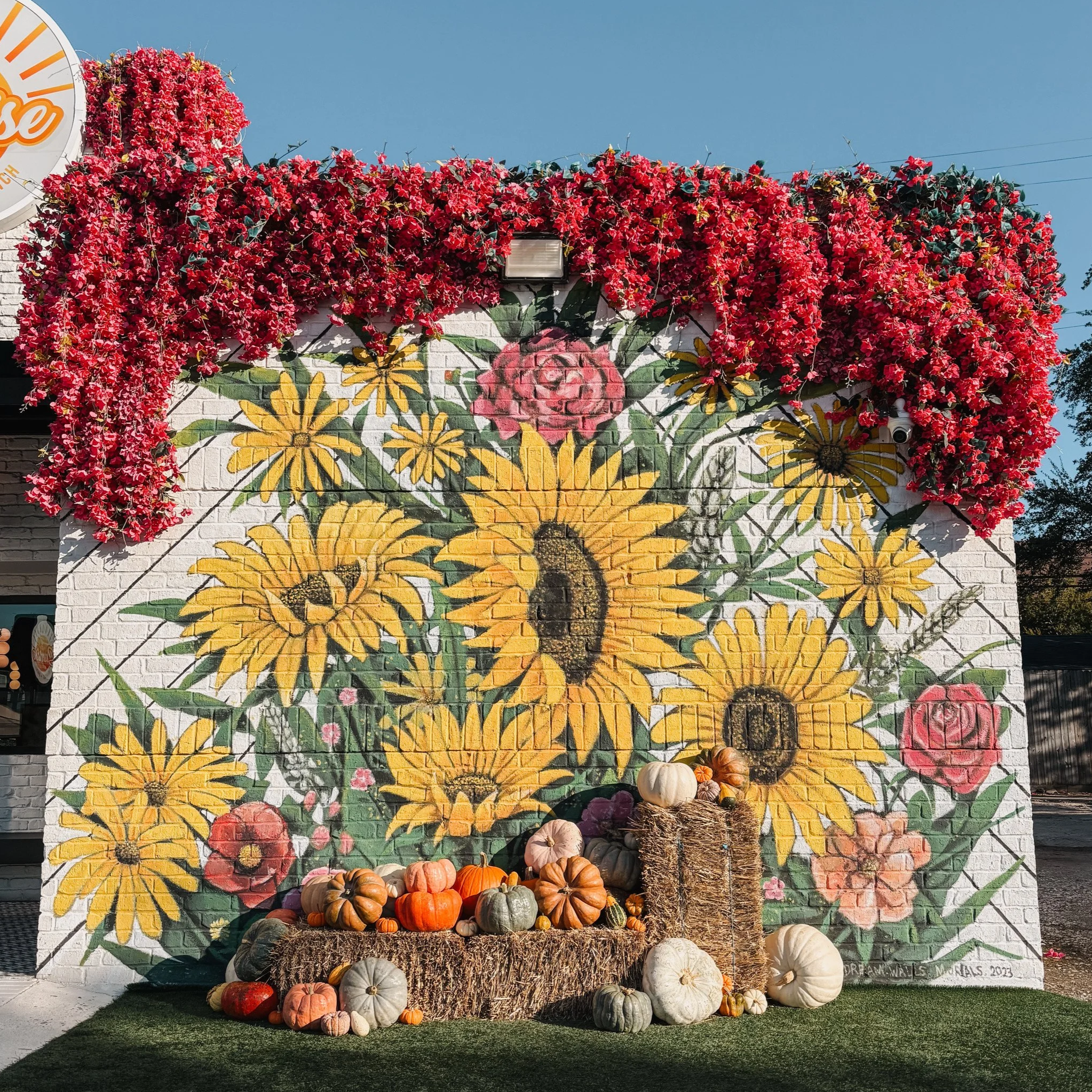 Vibrant mural of yellow and pink flowers painted on a white brick wall, decorated with a harvest of pumpkins and gourds at its base and surrounded by fall foliage.