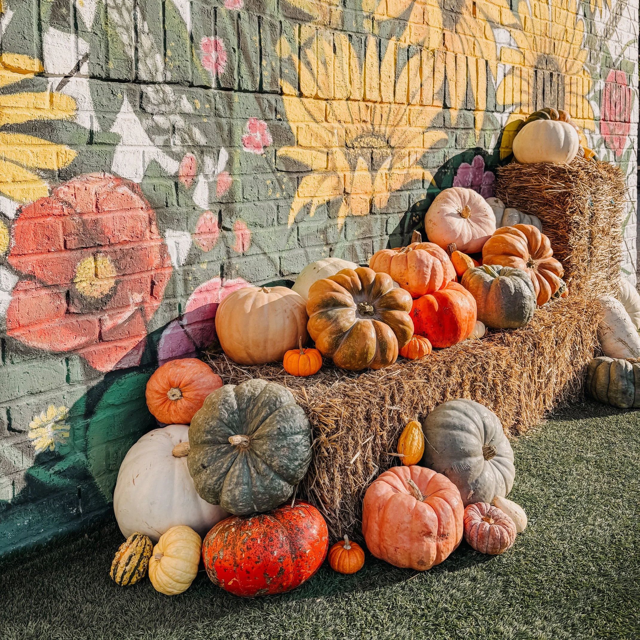 Pumpkins of various sizes and colors arranged on straw in front of a colorful mural painted on a brick wall.