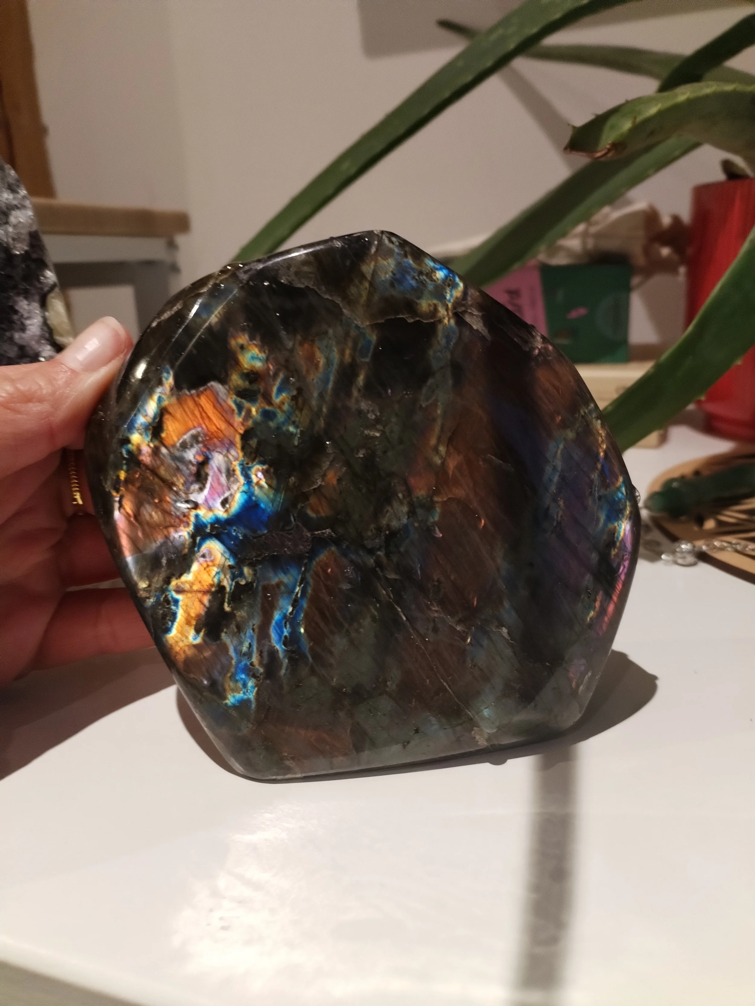LABRADORITE Luna Pop