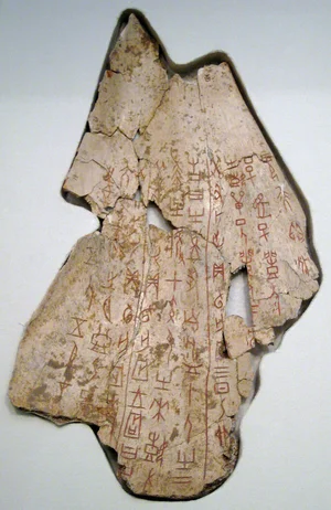 Inscribed ox scapula from the Shang dynasty showing oracle-bone script