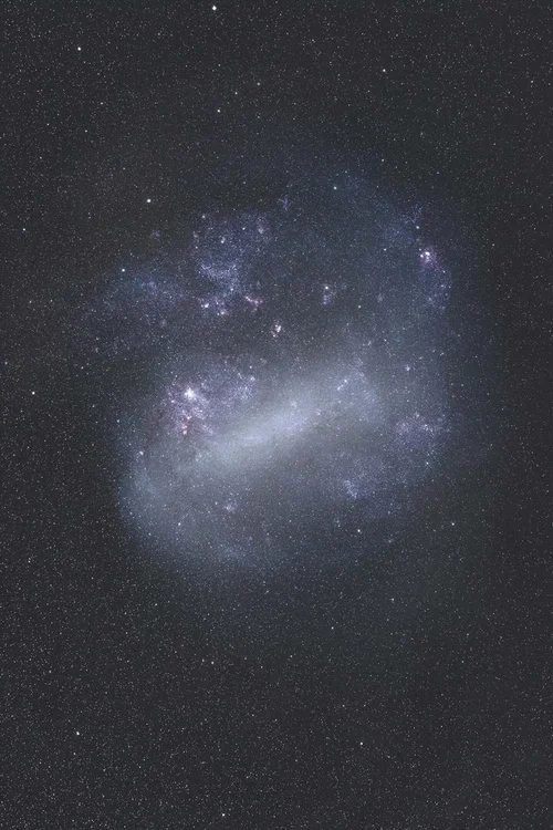 Large Magellanic Cloud