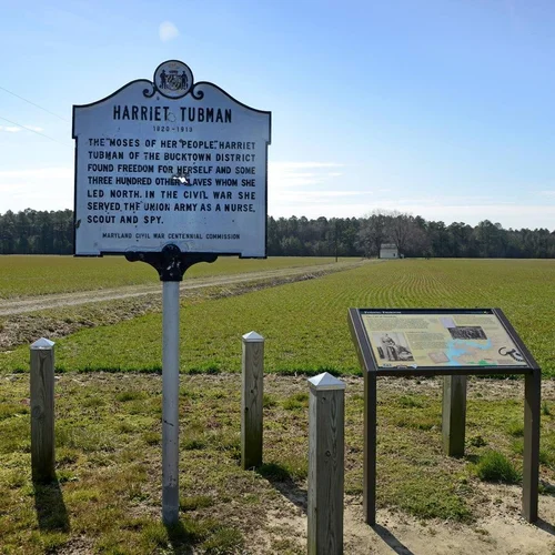 Marshland landscape associated with Harriet Tubman’s childhood on Maryland’s Eastern Shore