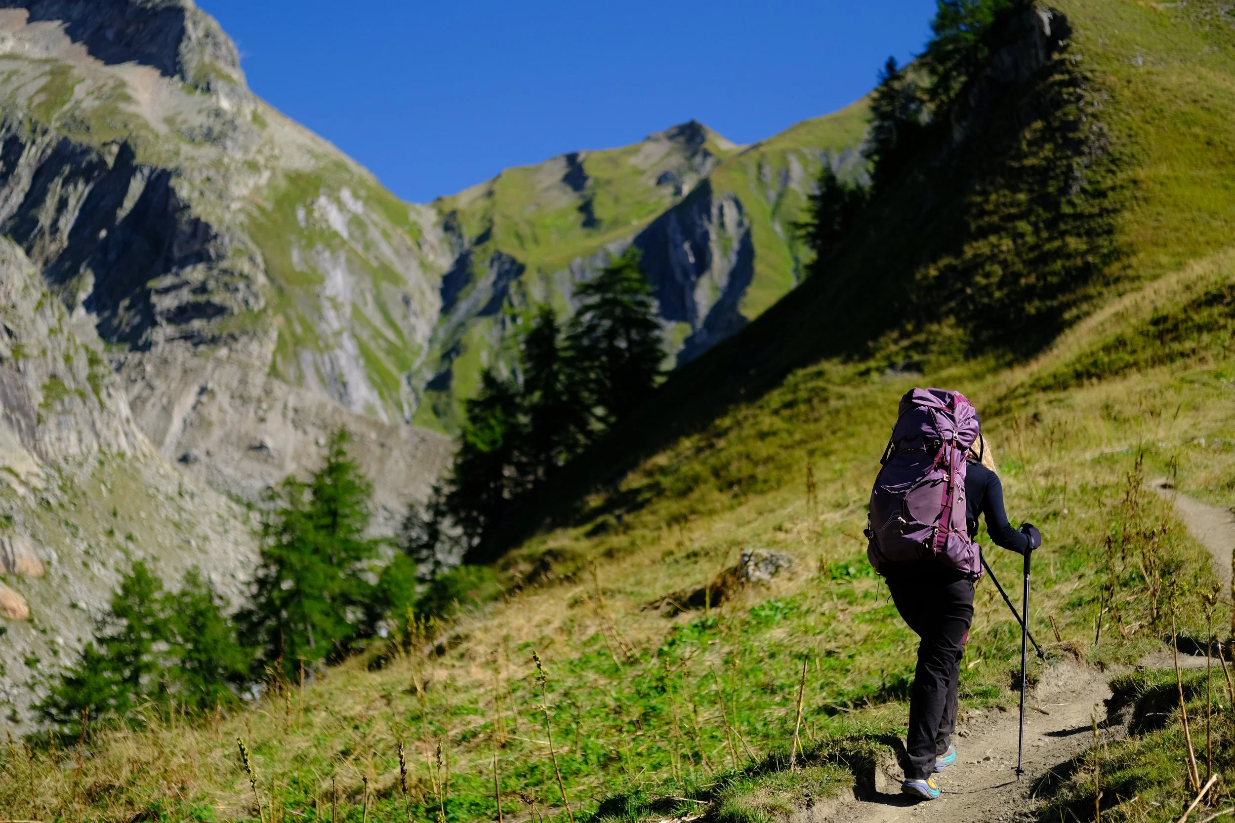 A hiker with a large purple backpack walking on a narrow trail through a green mountainous landscape with steep rocky slopes and sparse trees under a clear blue sky.