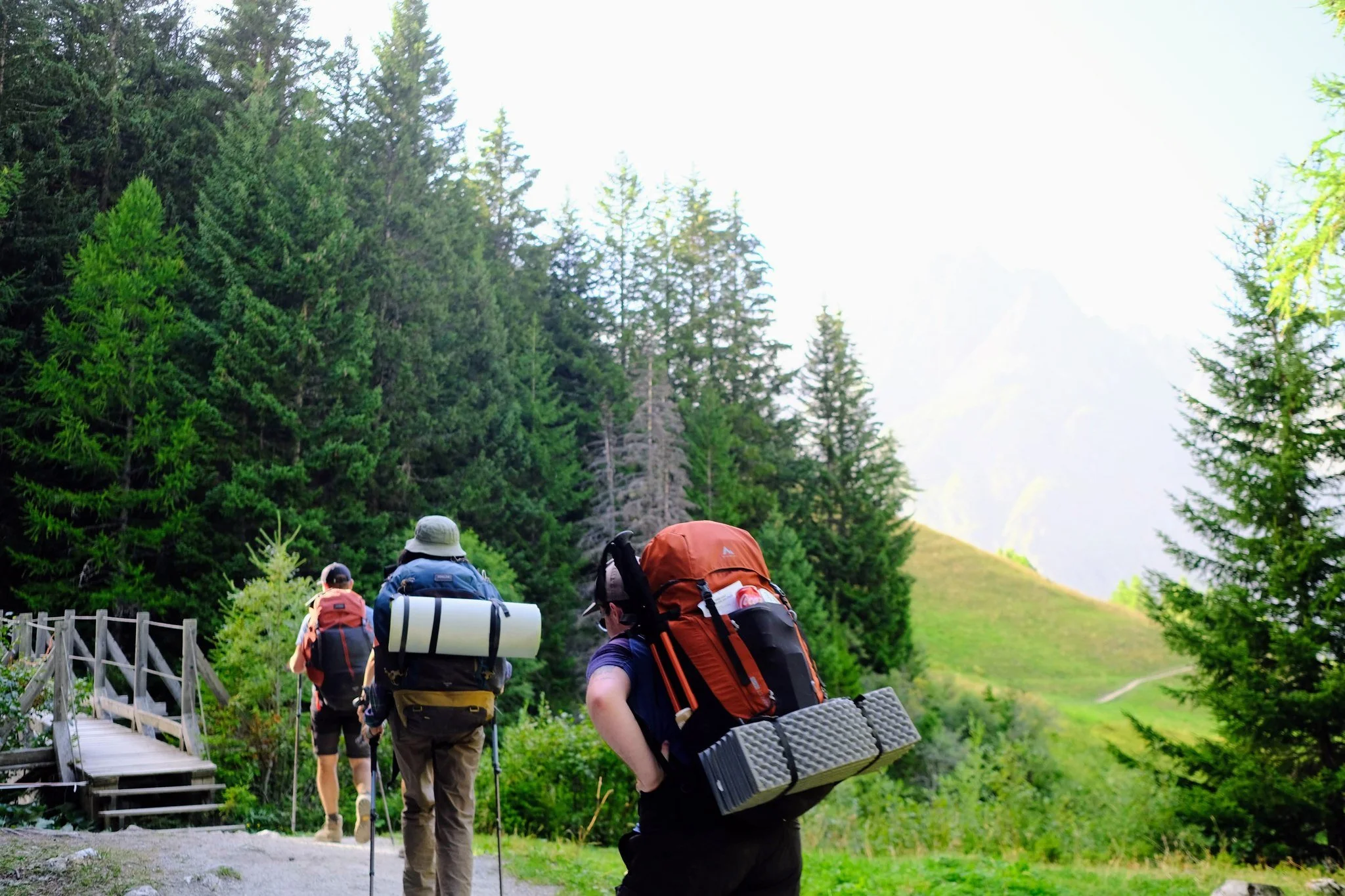 "I overheard the forest's concern, "Are you oak-ay?" I replied, "Yes, I am pine. Why woodn't I be?""

Taken with a Fujifilm X-T4 with a 23mm f/2 lens.

Day 5 of the TMB - Camping Grandes Jorasse to La
Fouly.

This shot w