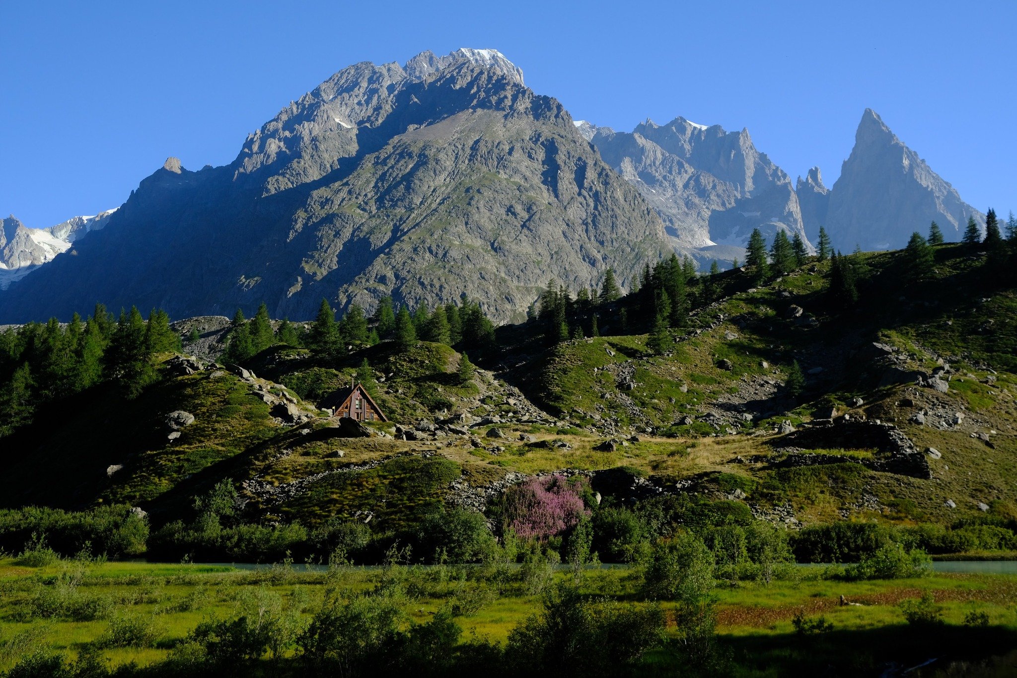 "How do fleas travel from place to place?&hellip; By itch-hiking!"

Taken with a Fujifilm X-T4 with a 23mm f/2 lens.

Day 4 of the TMB - Rifugio Elisabetta to Camping
Grandes Jorasse.

It is hard to take a bad shot when on the TMB. This is 