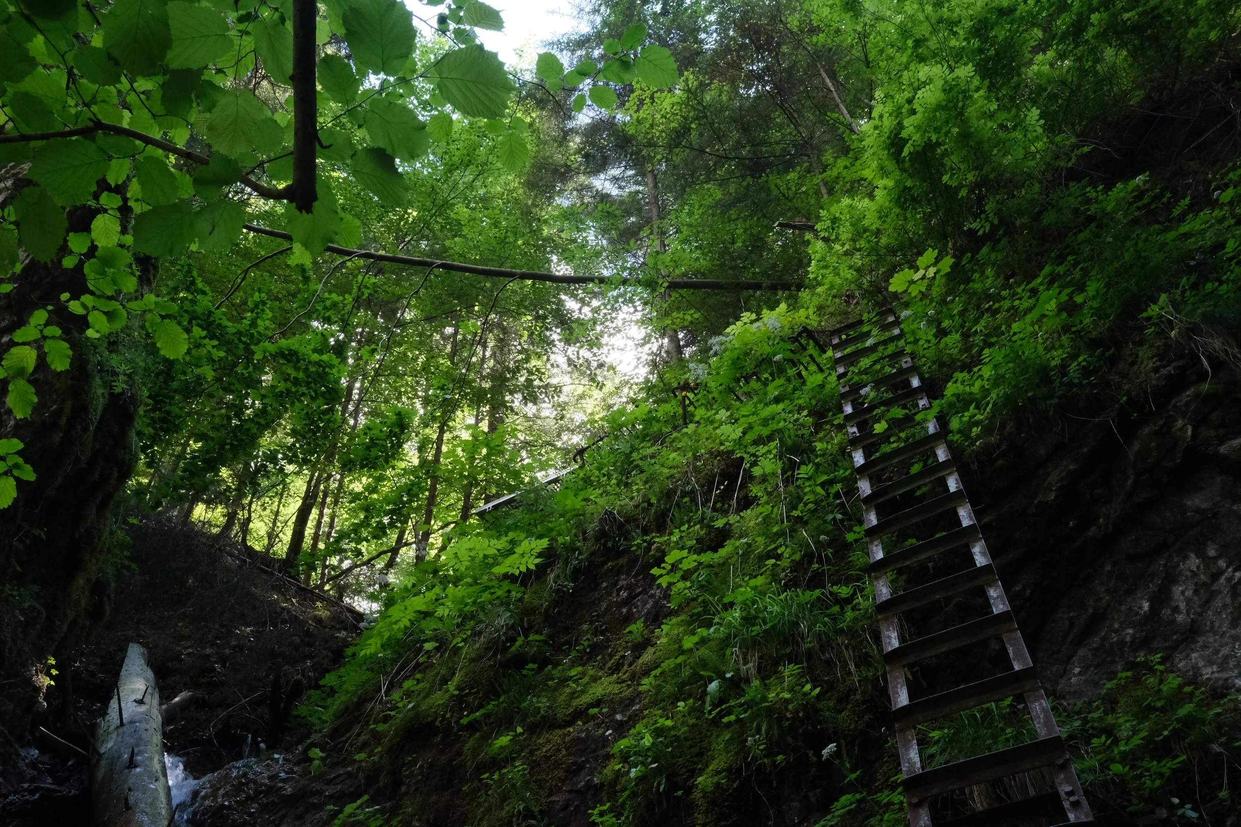 DSCF9053.JPG