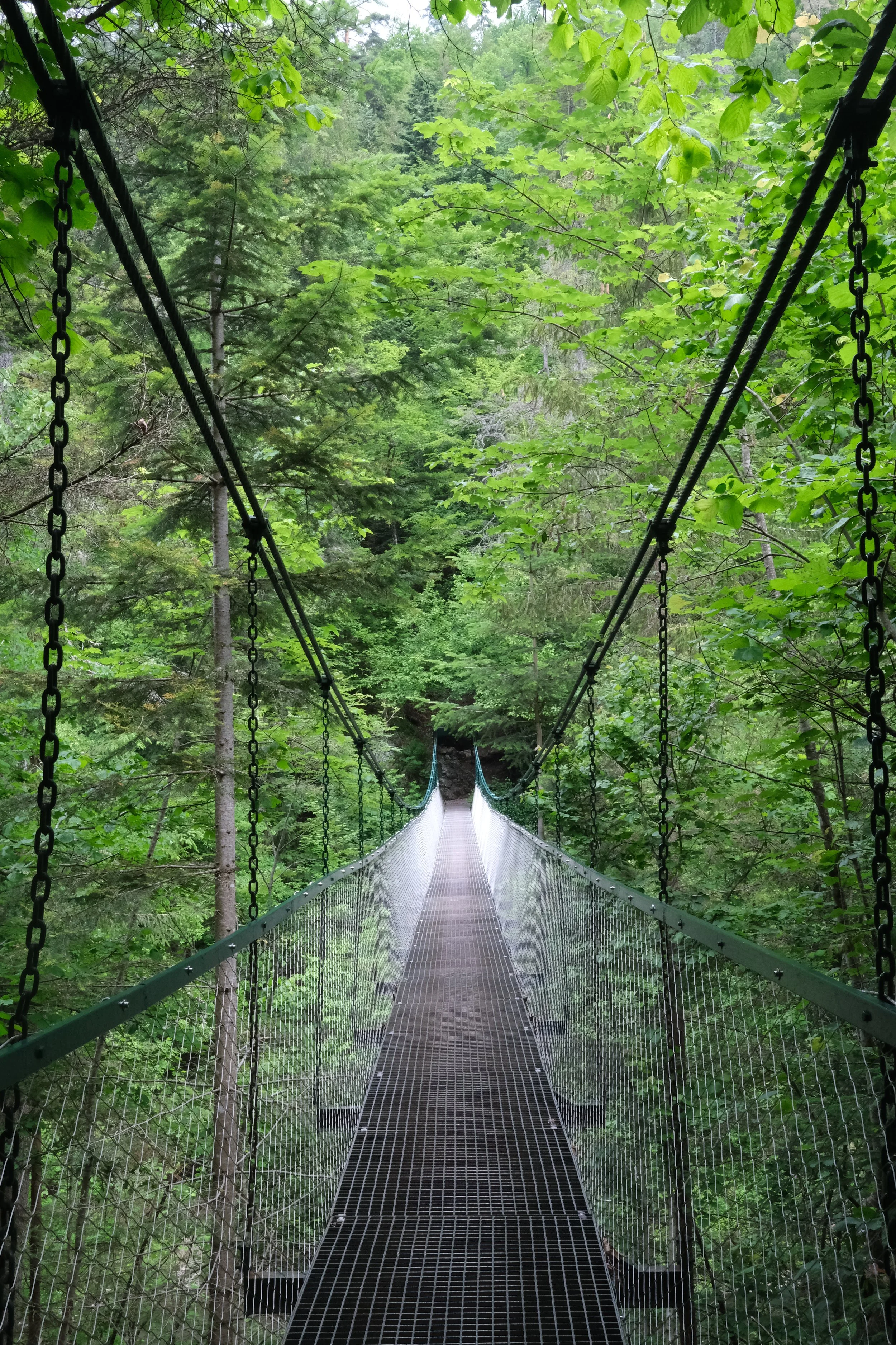 DSCF9549.JPG