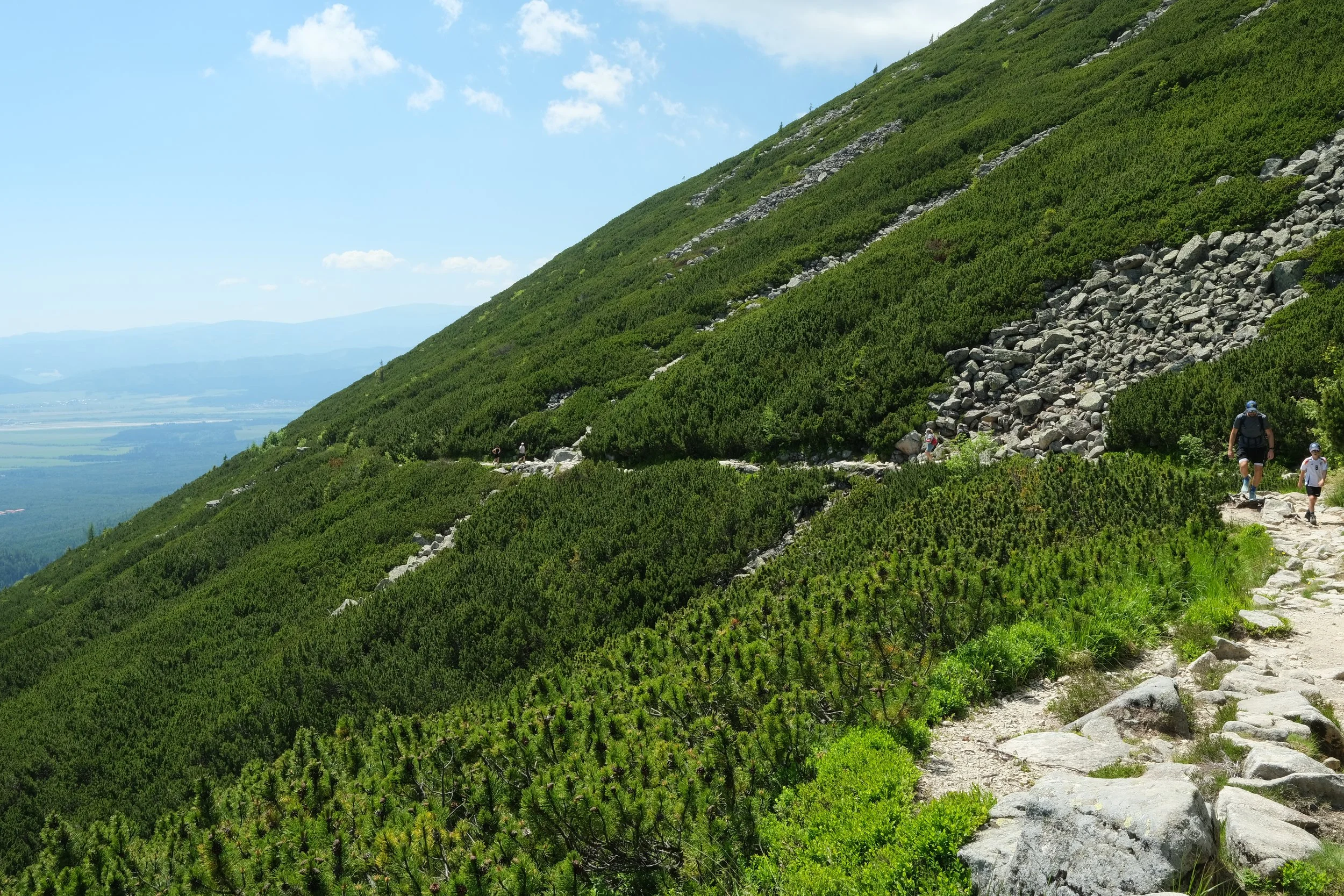 DSCF0017.JPG