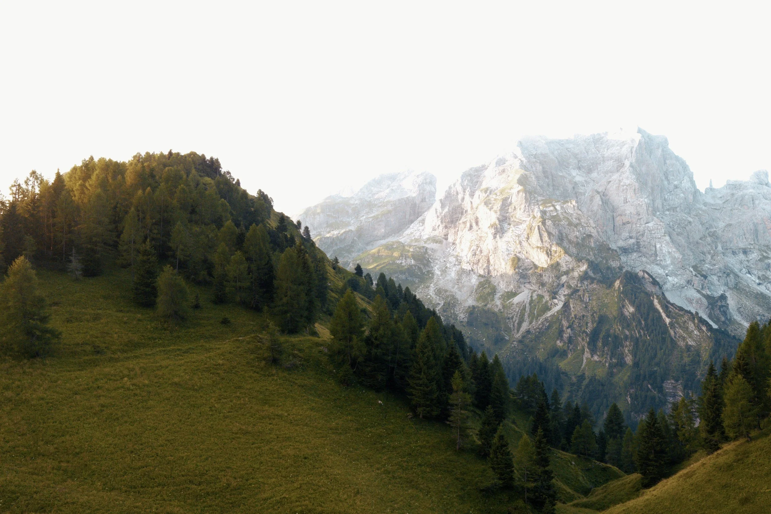 2026-07-27-Italy - Alta Via 1-DSCF0792.RAF.jpg