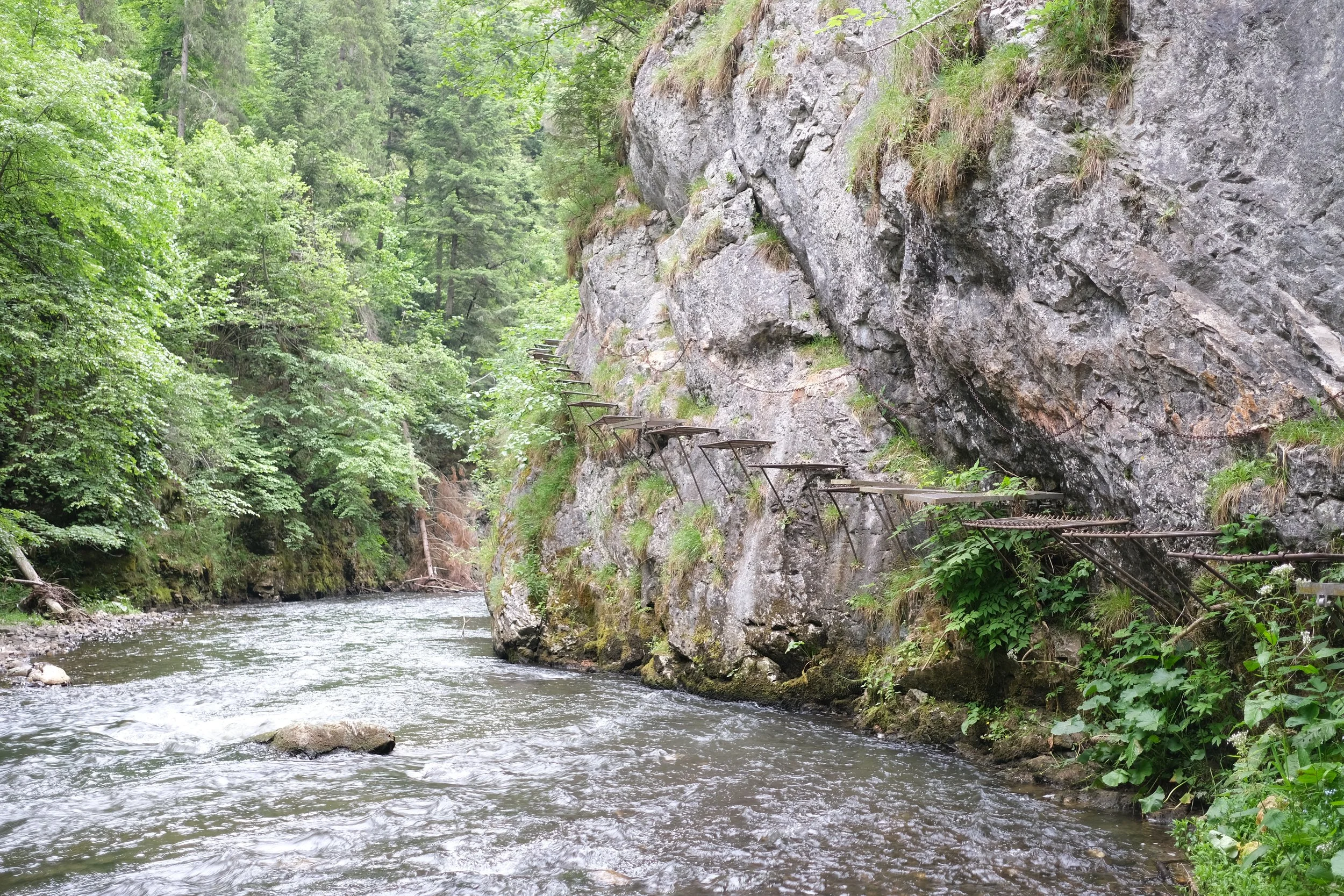 DSCF9643.JPG