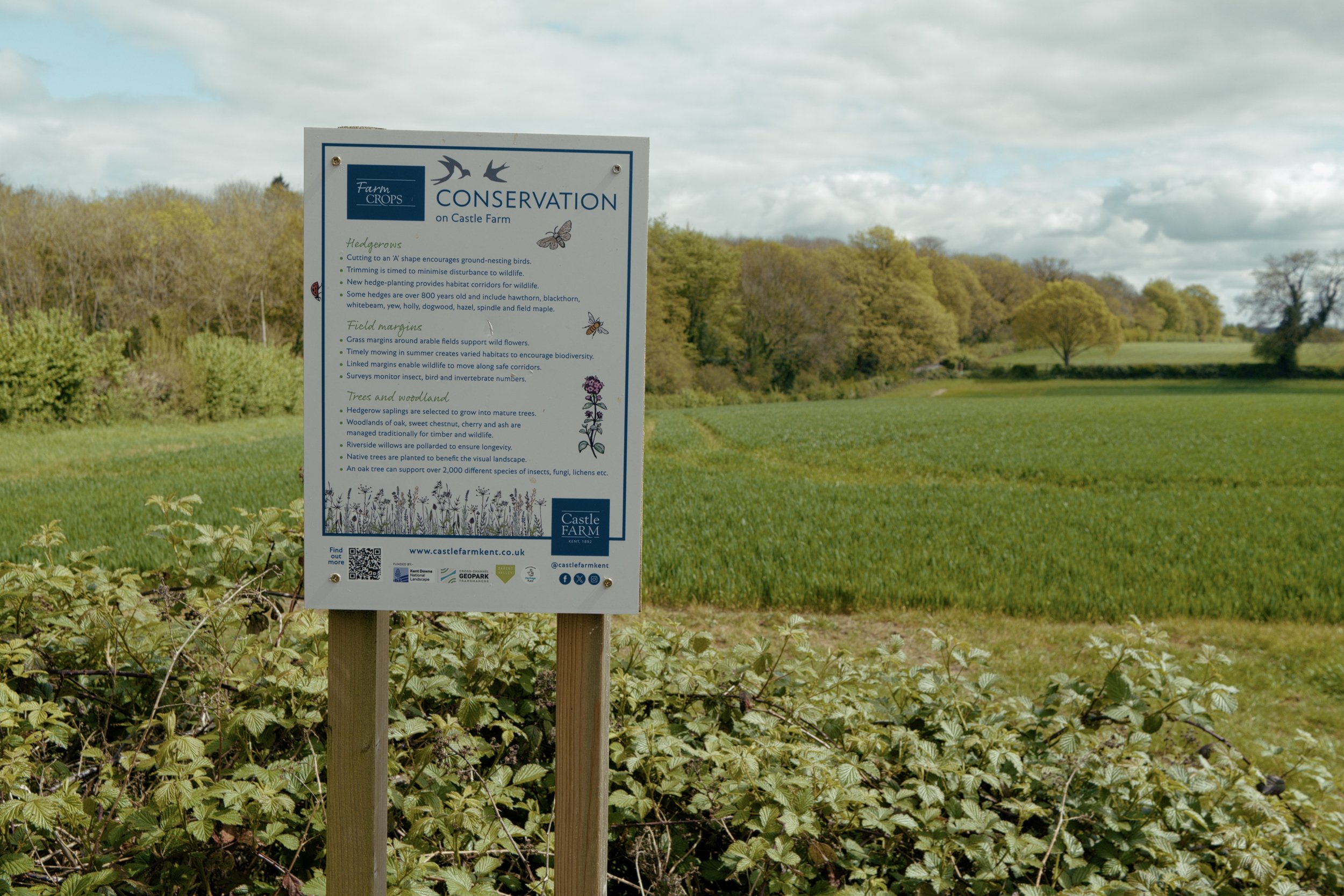 2026-04-20-UK - Shoreham - Figure 8 Circular-DSCF7872.RAF.jpg