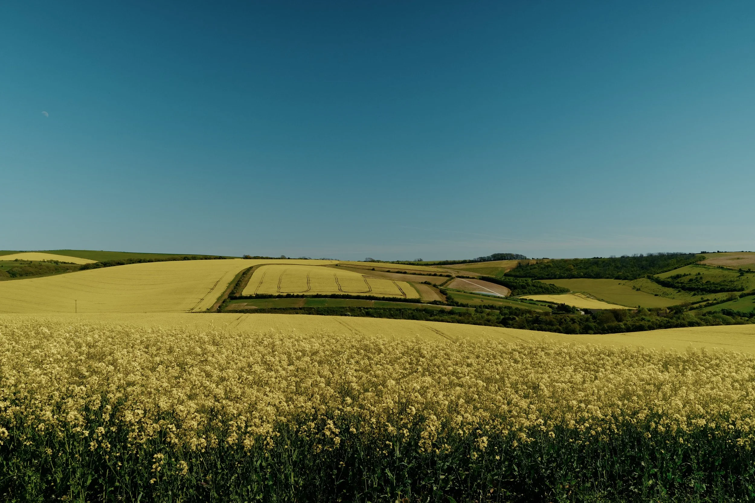 2026-04-24-UK - Hassocks to Shoreham-by-Sea-DSCF8104.JPG.jpg