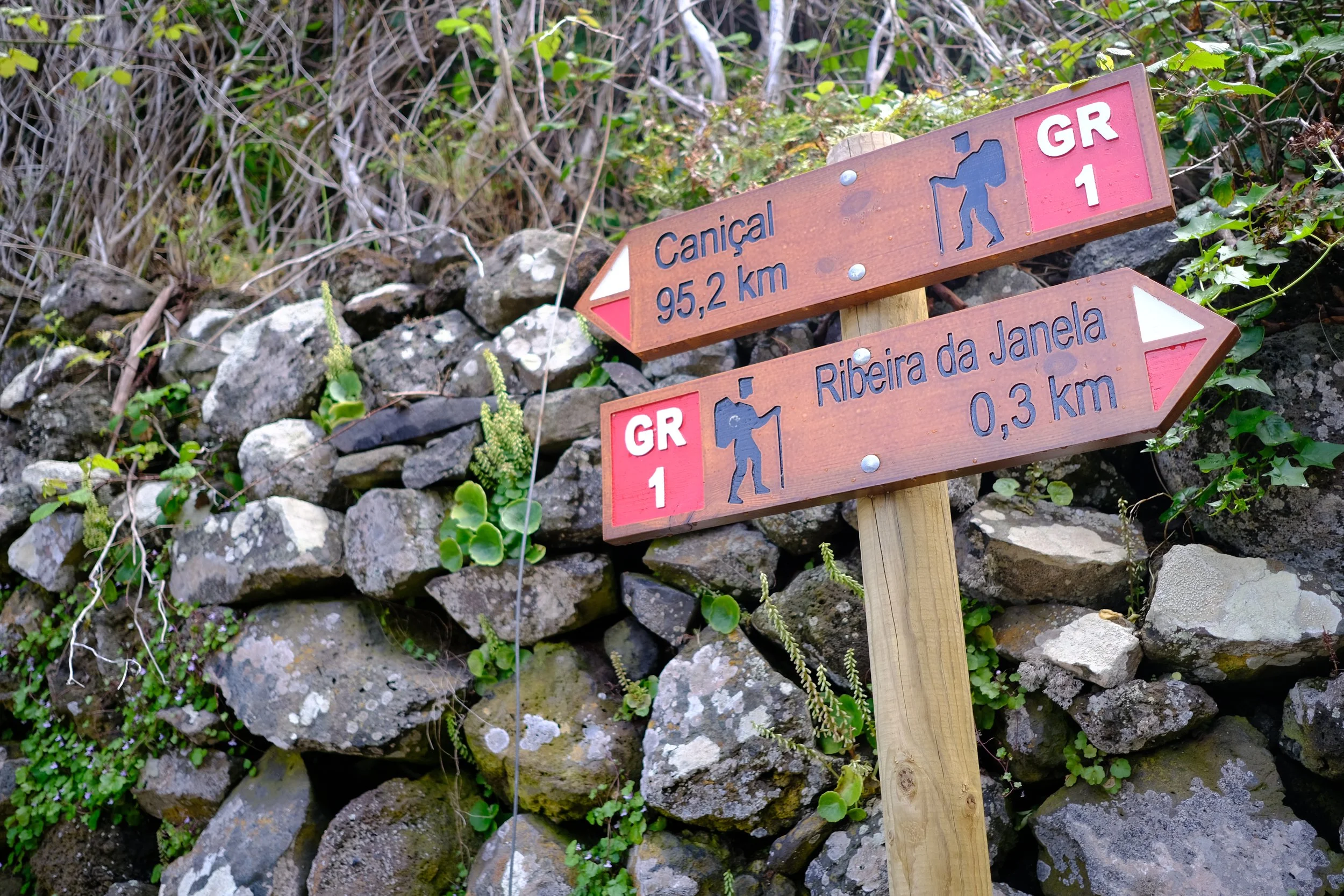 DSCF8615.JPG