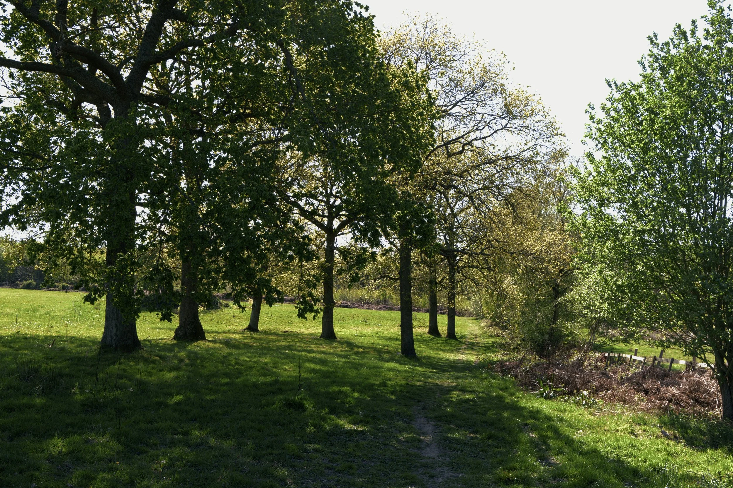 2026-04-28-UK - Ashurst Circular via Winnie-the-Pooh House-DSCF8271.RAF.jpg