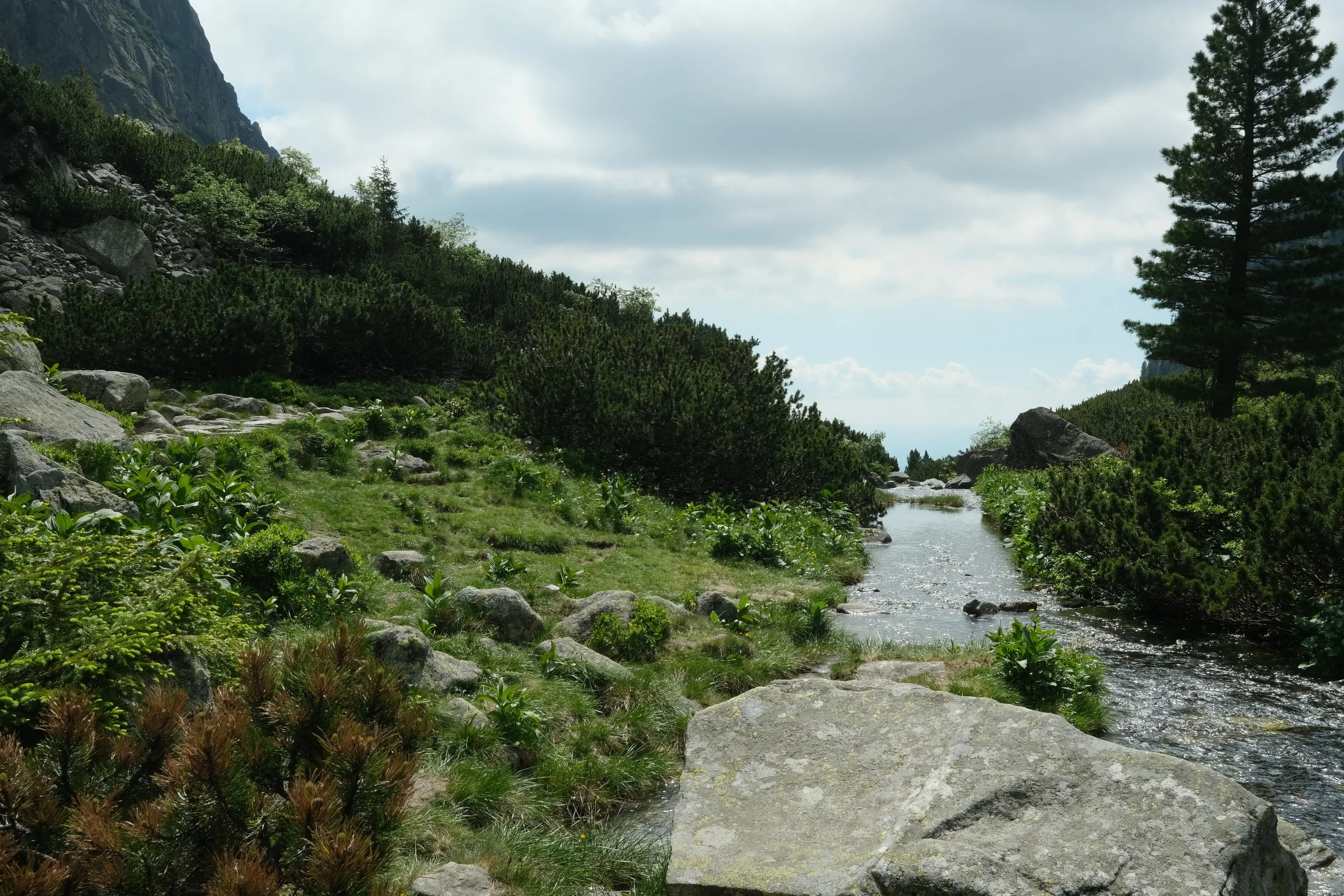 DSCF9885.JPG