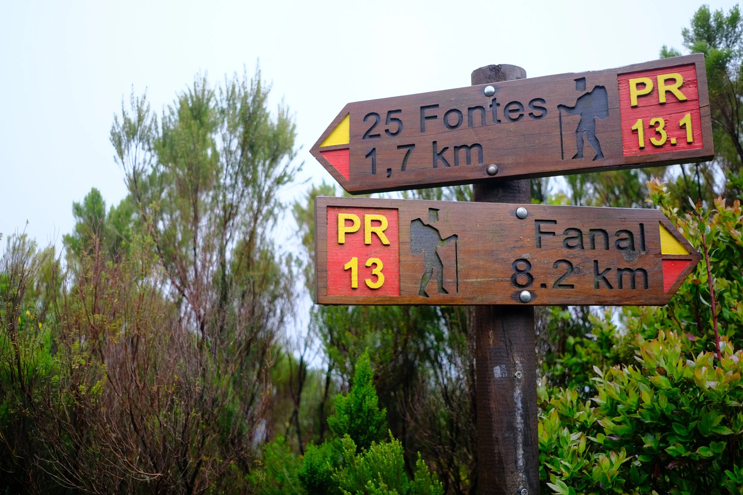 DSCF8726.JPG