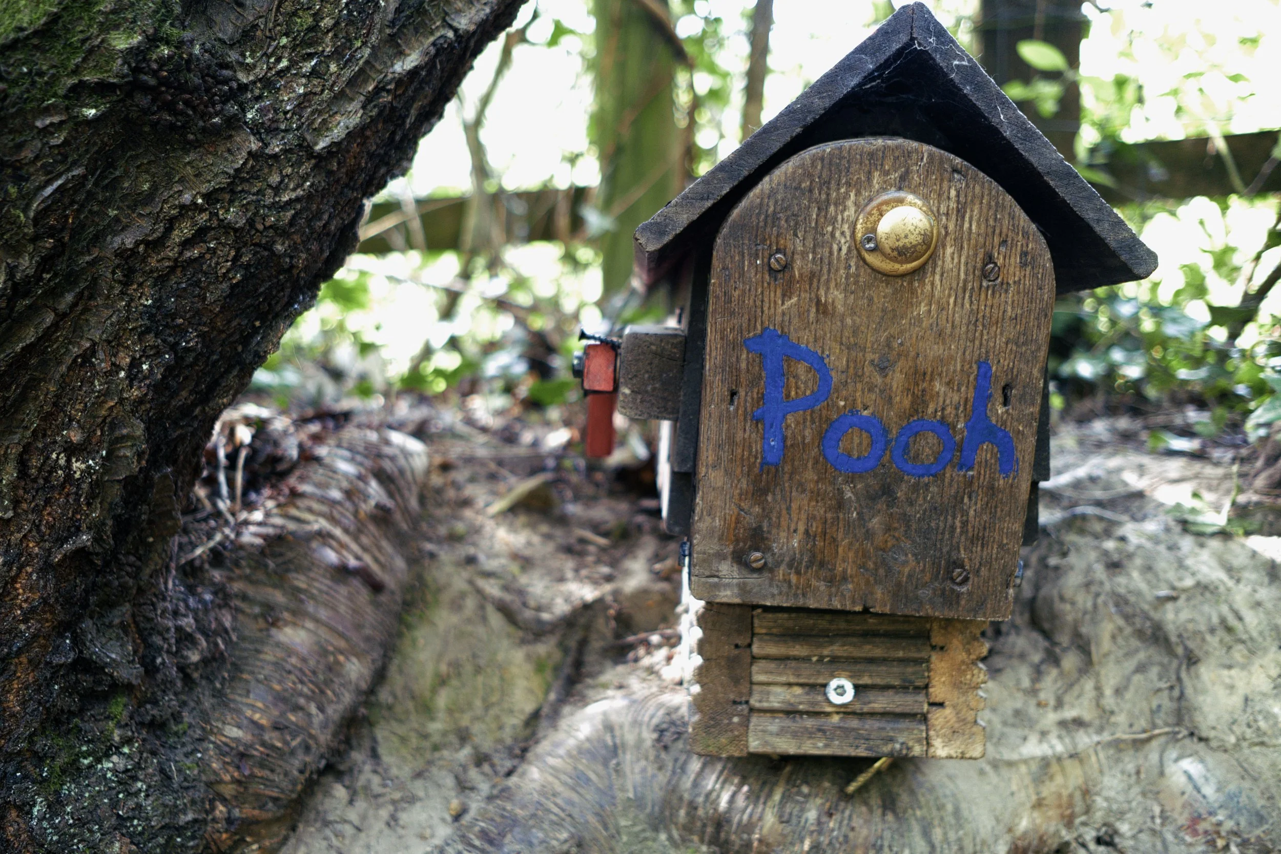 2026-04-28-UK - Ashurst Circular via Winnie-the-Pooh House-DSCF8307.RAF.jpg