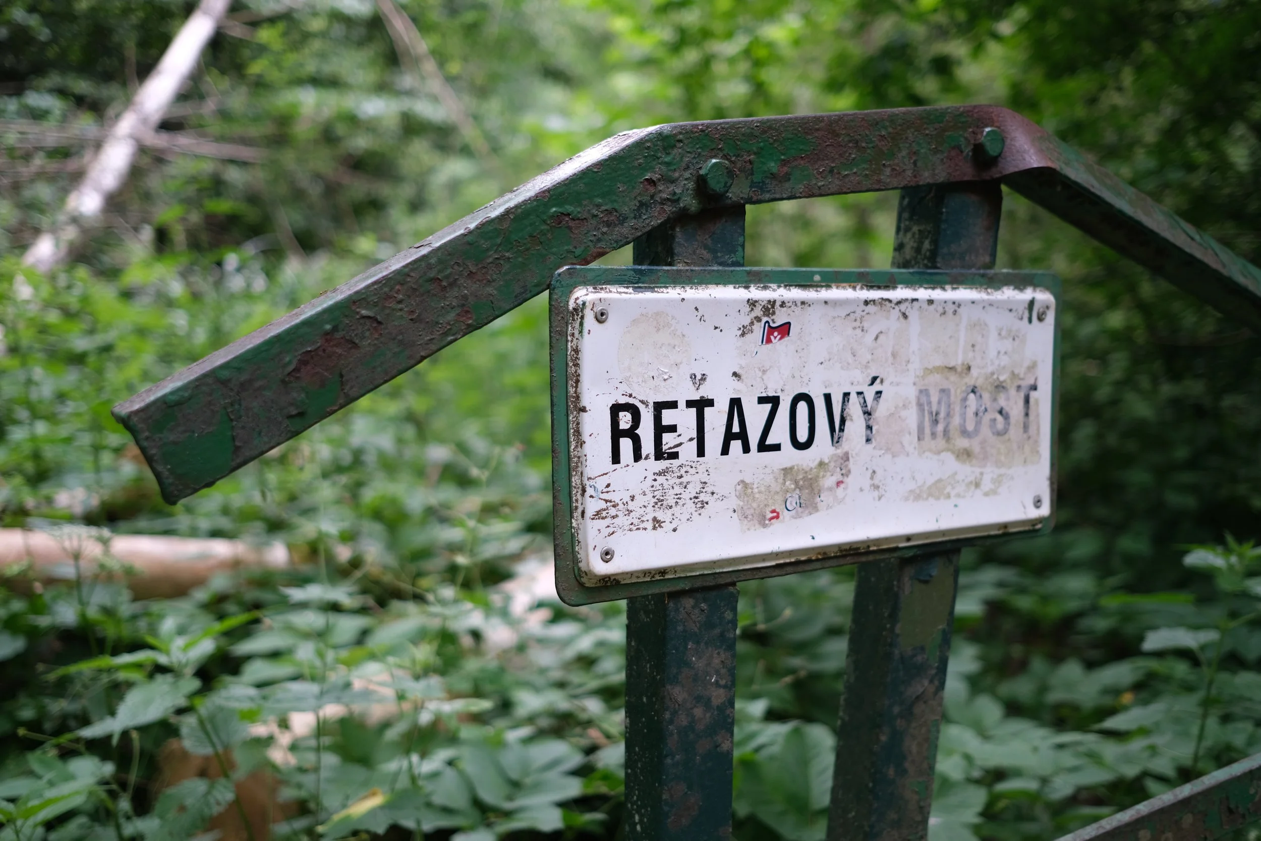 DSCF9540.JPG