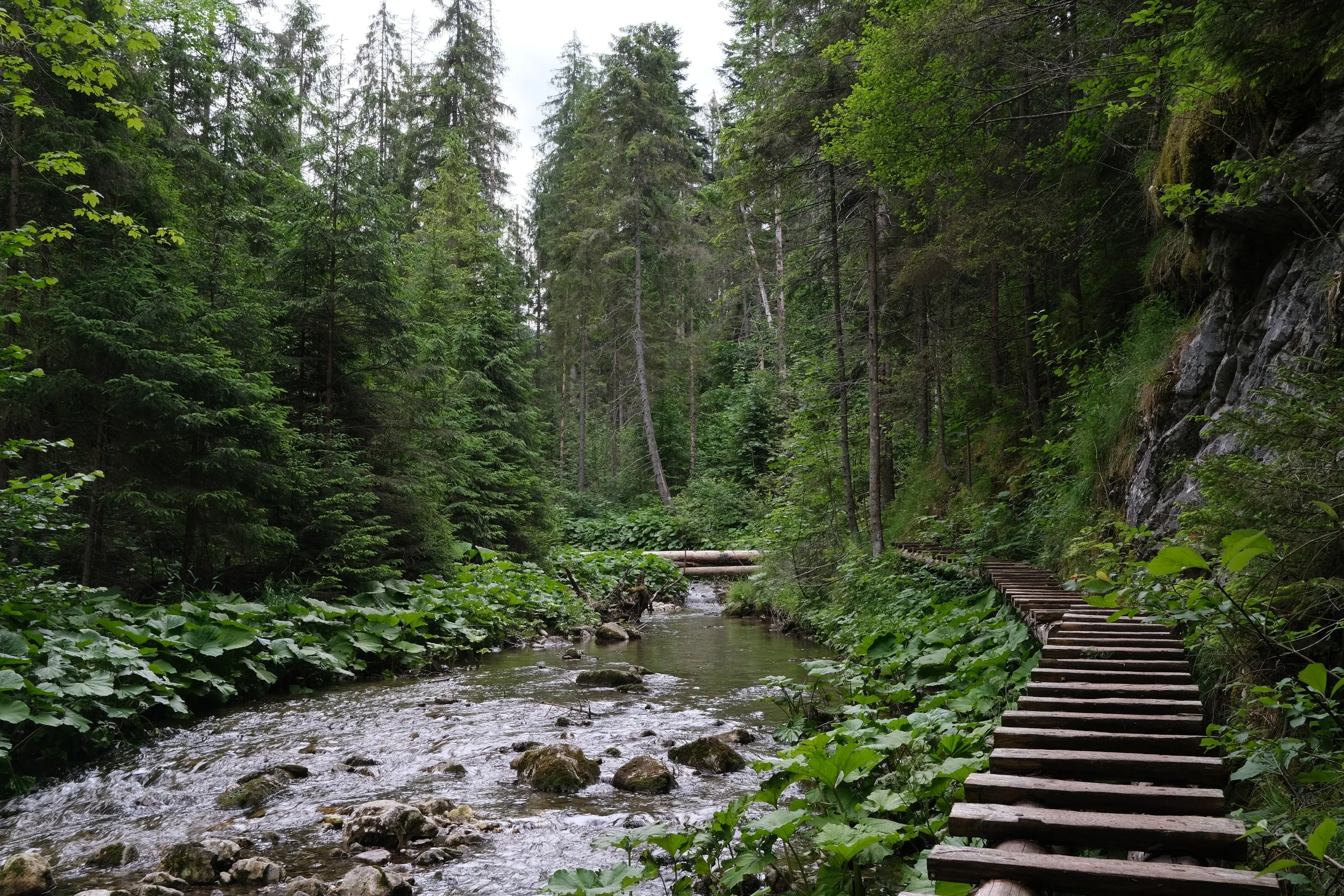 DSCF9262.JPG