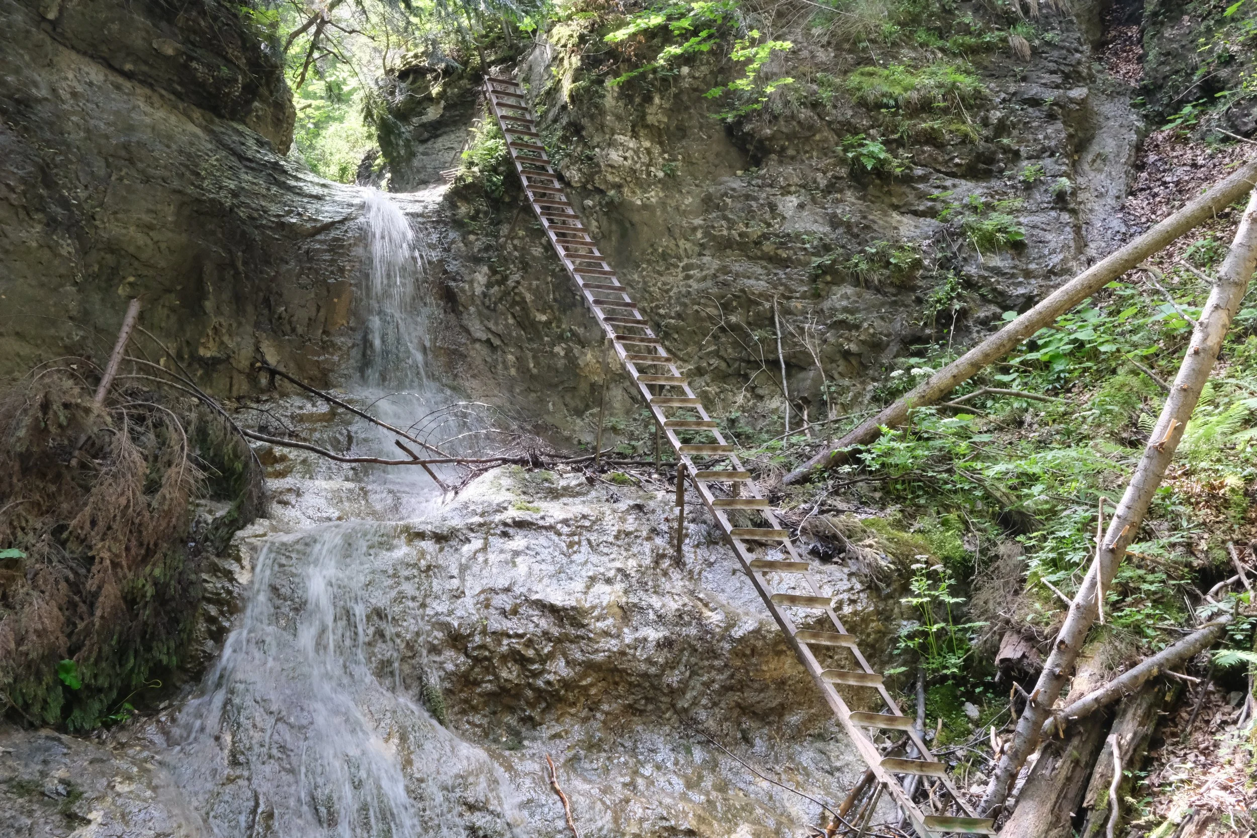 DSCF9169.JPG