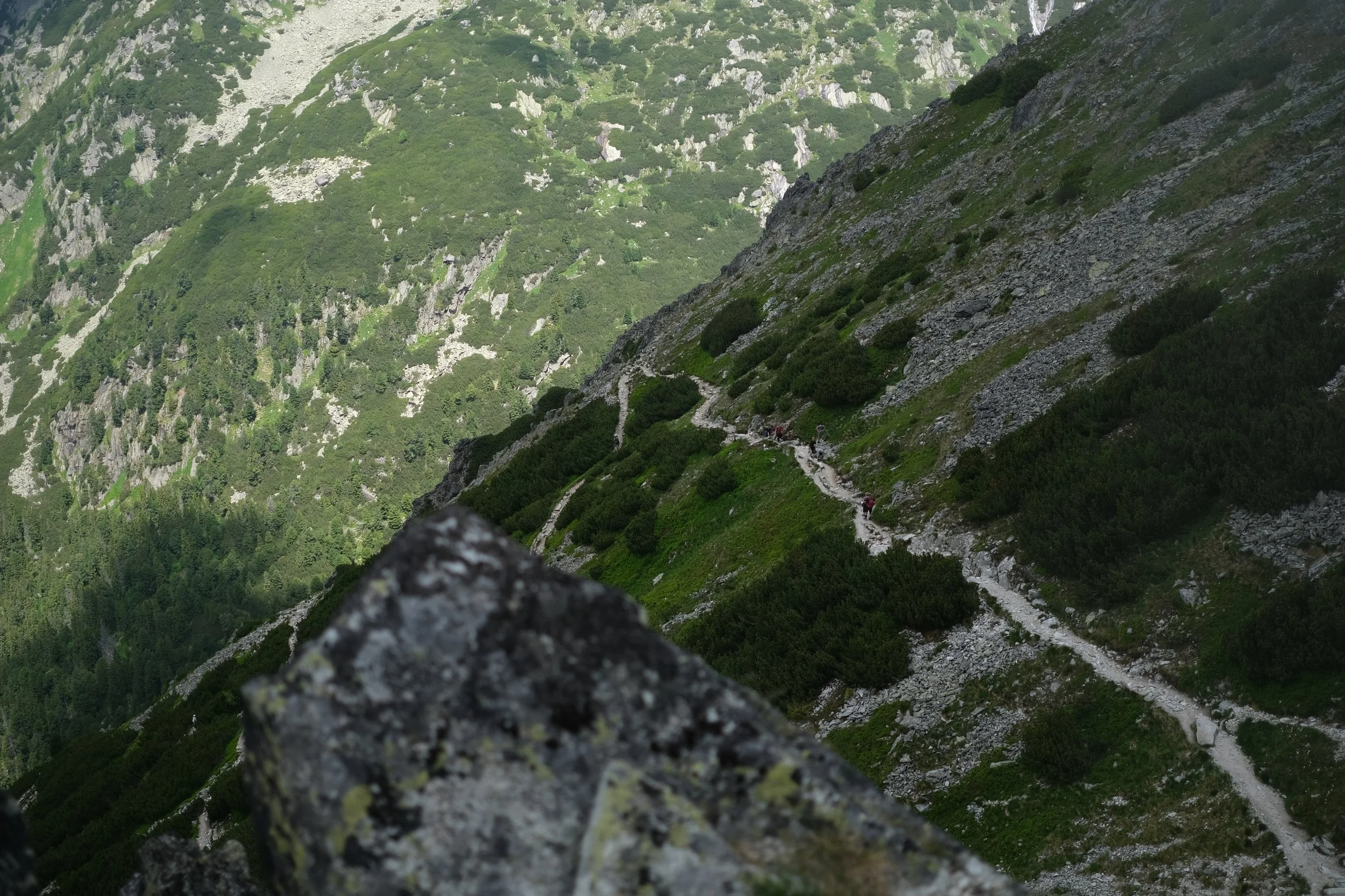 DSCF9745.JPG