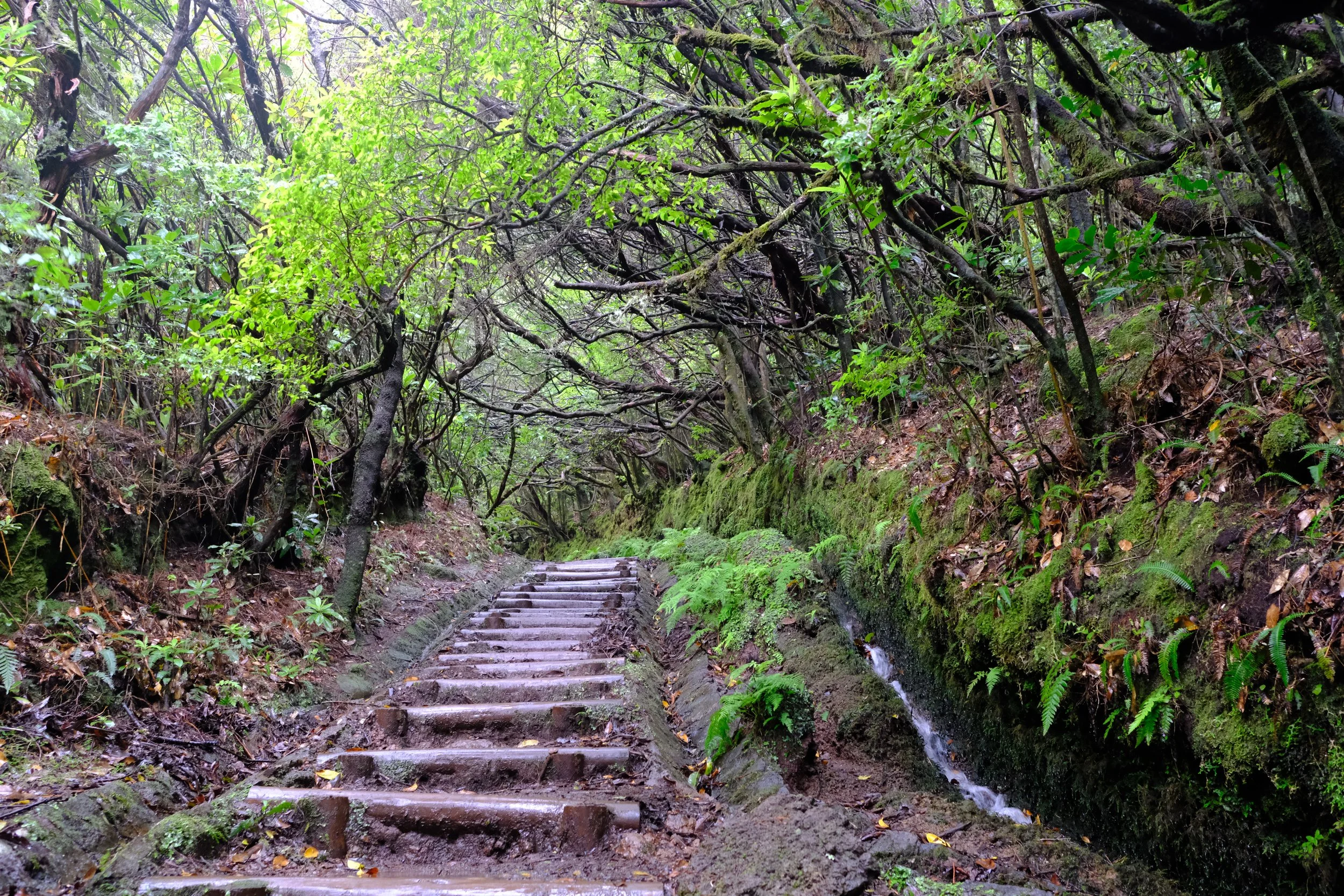 DSCF8649.JPG
