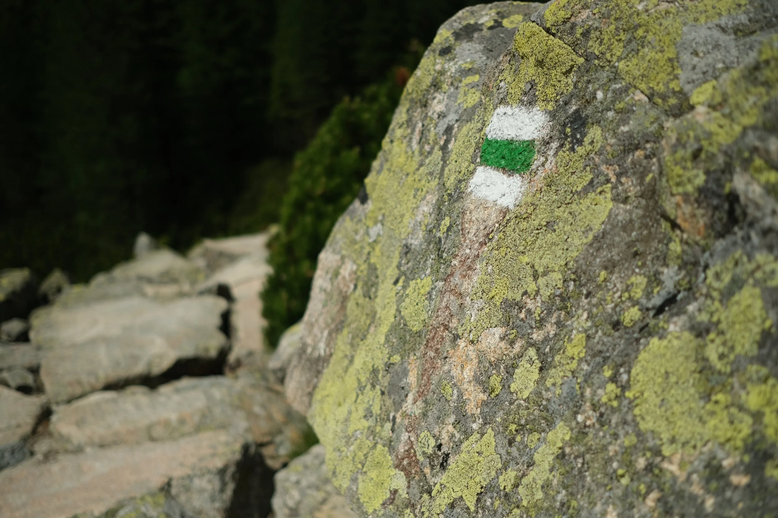 DSCF9877.JPG