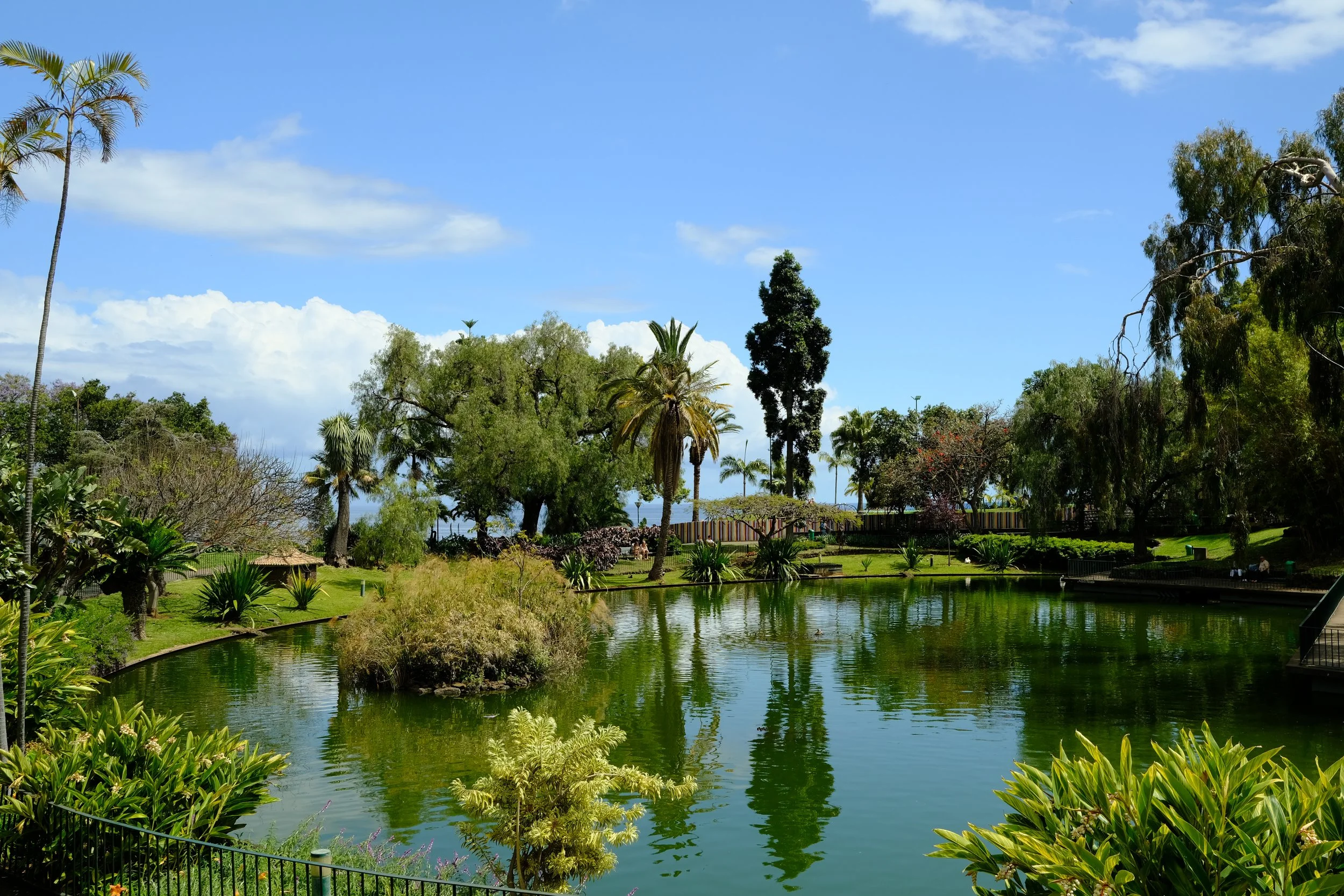 DSCF8521.JPG
