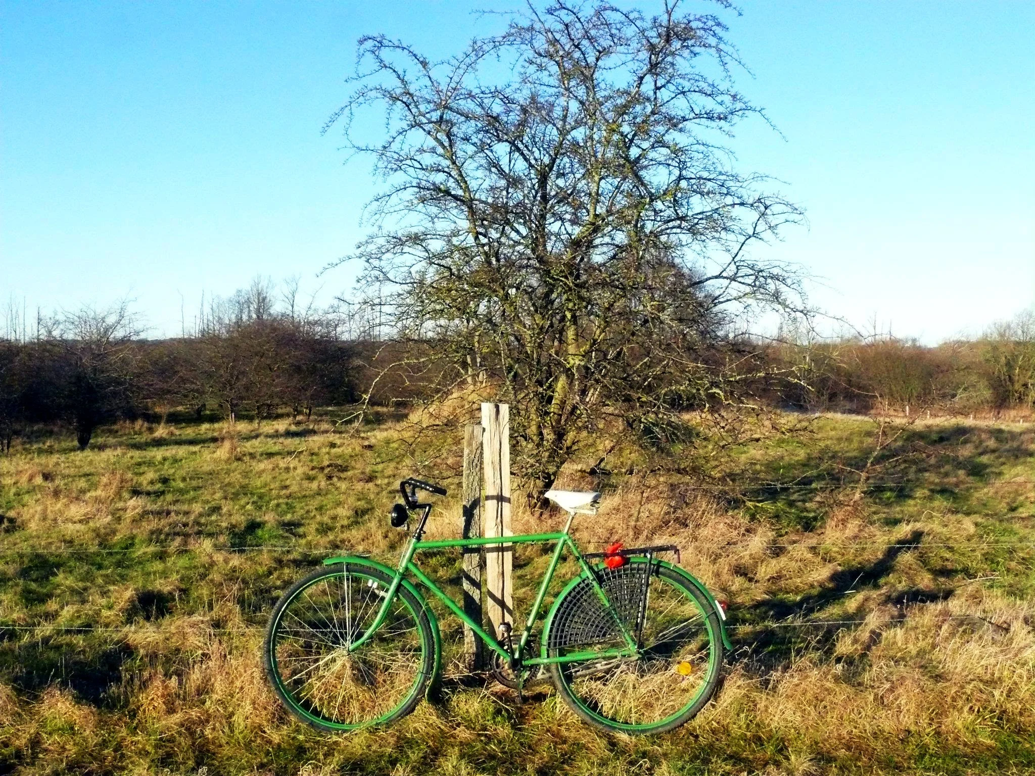 Grünes-Fahrrad.jpg