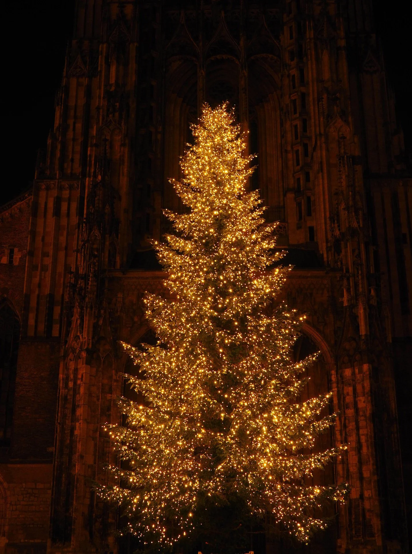 Der Weihnachtsbaum