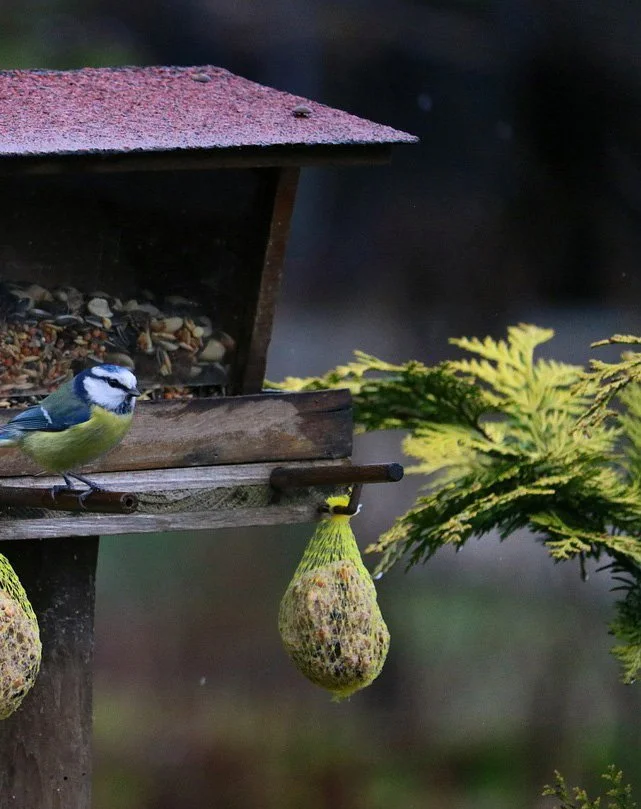 Kein Hunger im Winter