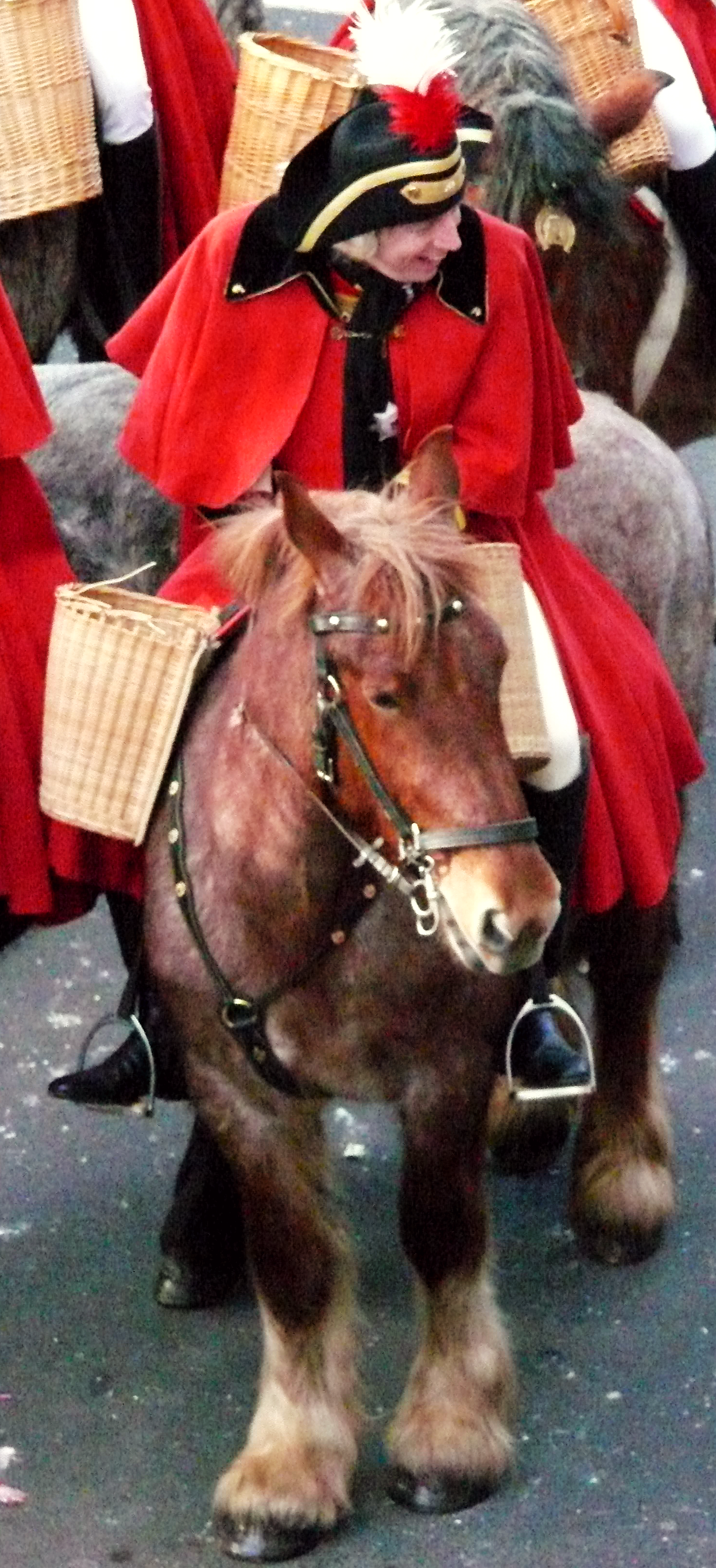 Reiter-und-Pferd.png