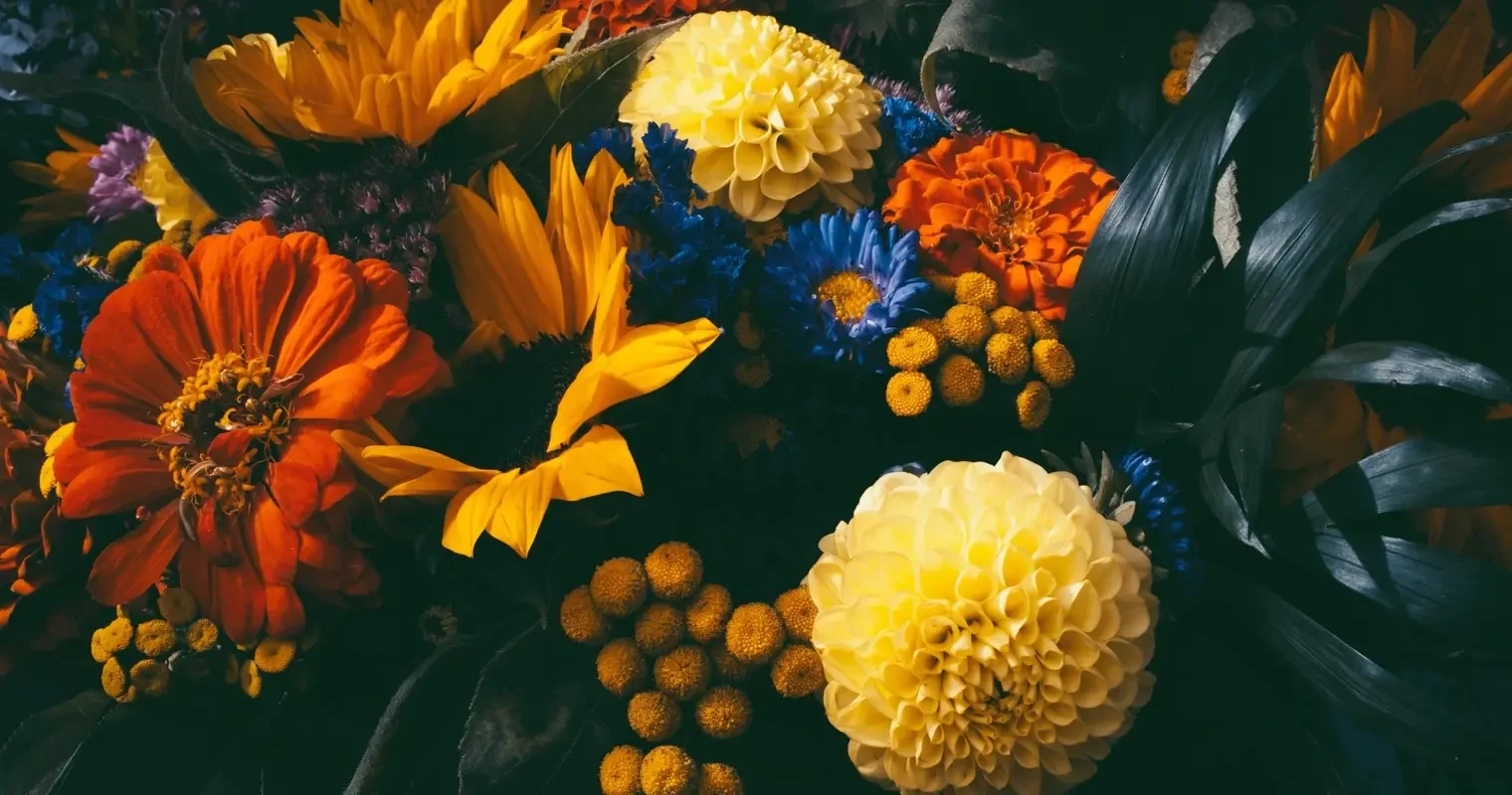 Autumn Equinox Gothic Soiree at Reiman Gardens