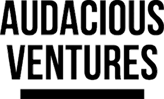 Text graphic that says 'Audacious Ventures' in black capital letters with a minimalist design.