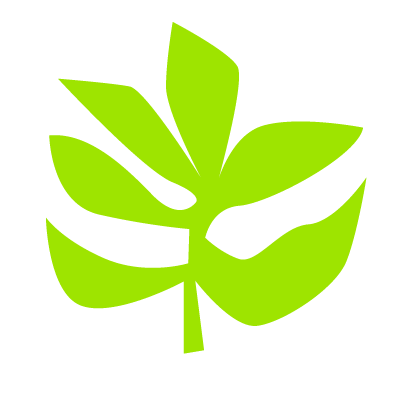 Bright green stylized leaf with multiple leaflets.