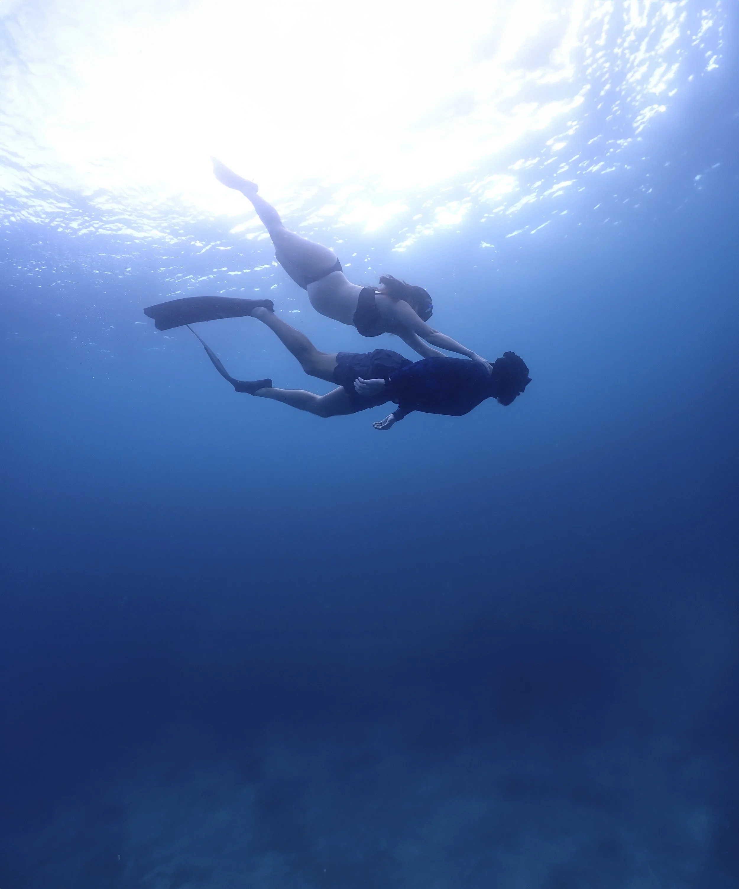 _P1280450 vertical 6.JPG