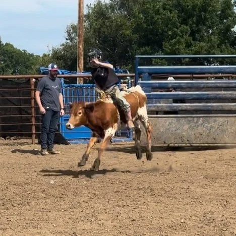 calf2.jpg